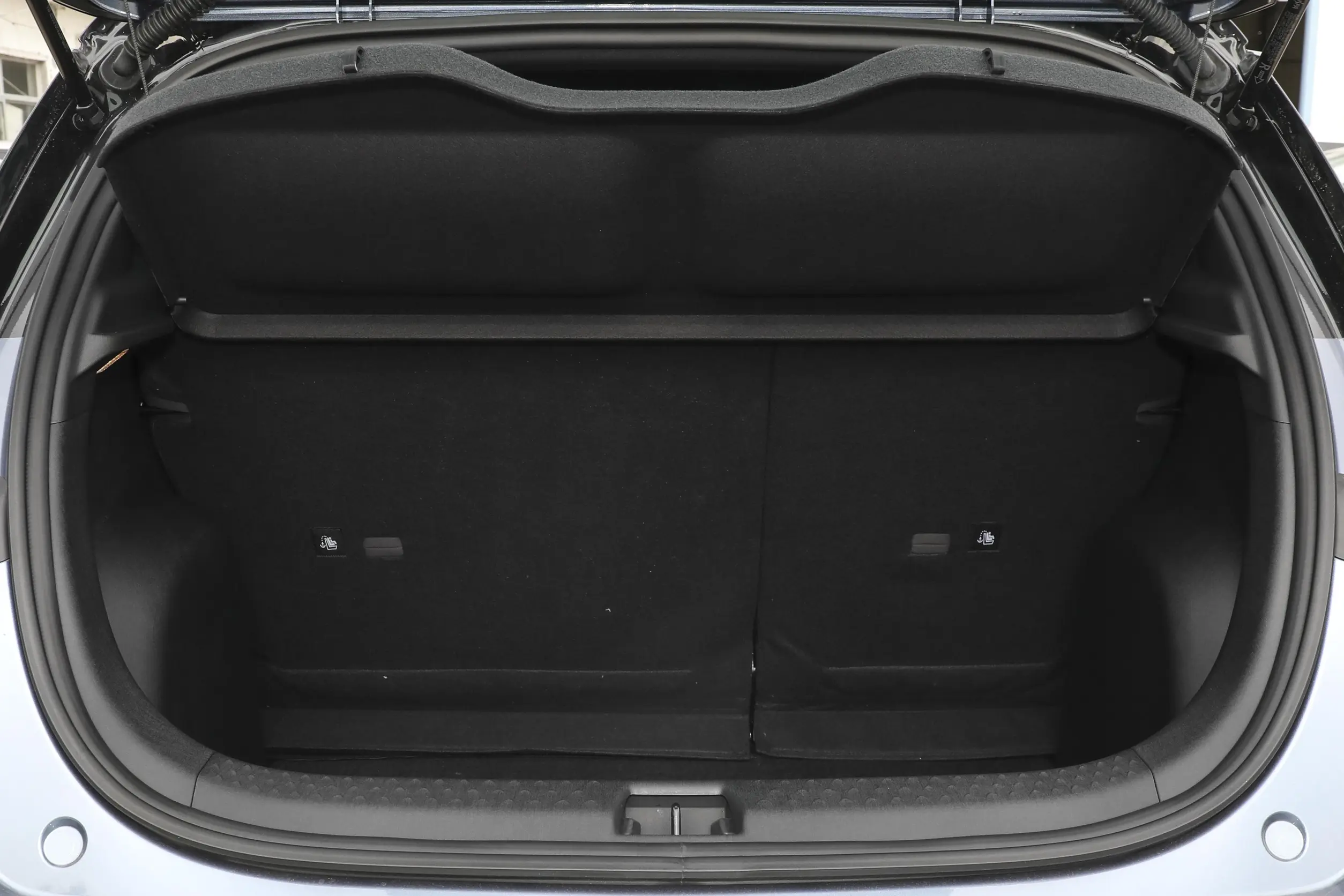 BYD Dolphin 2023 space-4