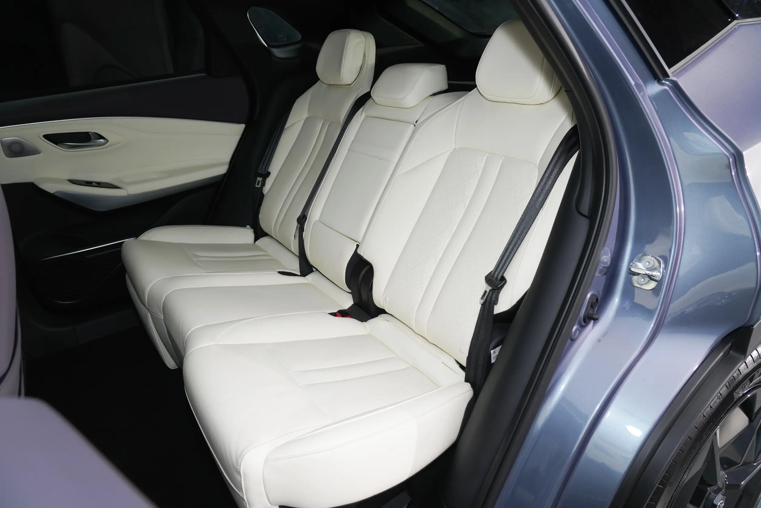 GAC Aion LX 2022 space-1