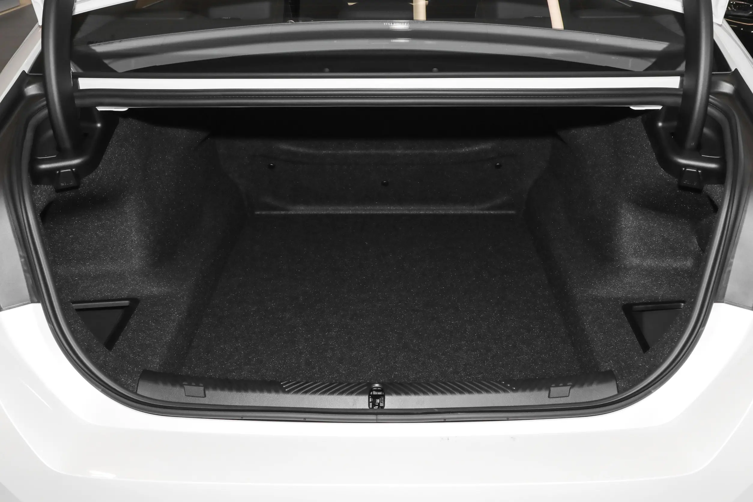 BMW 5 Series 530Li 2024 space-4