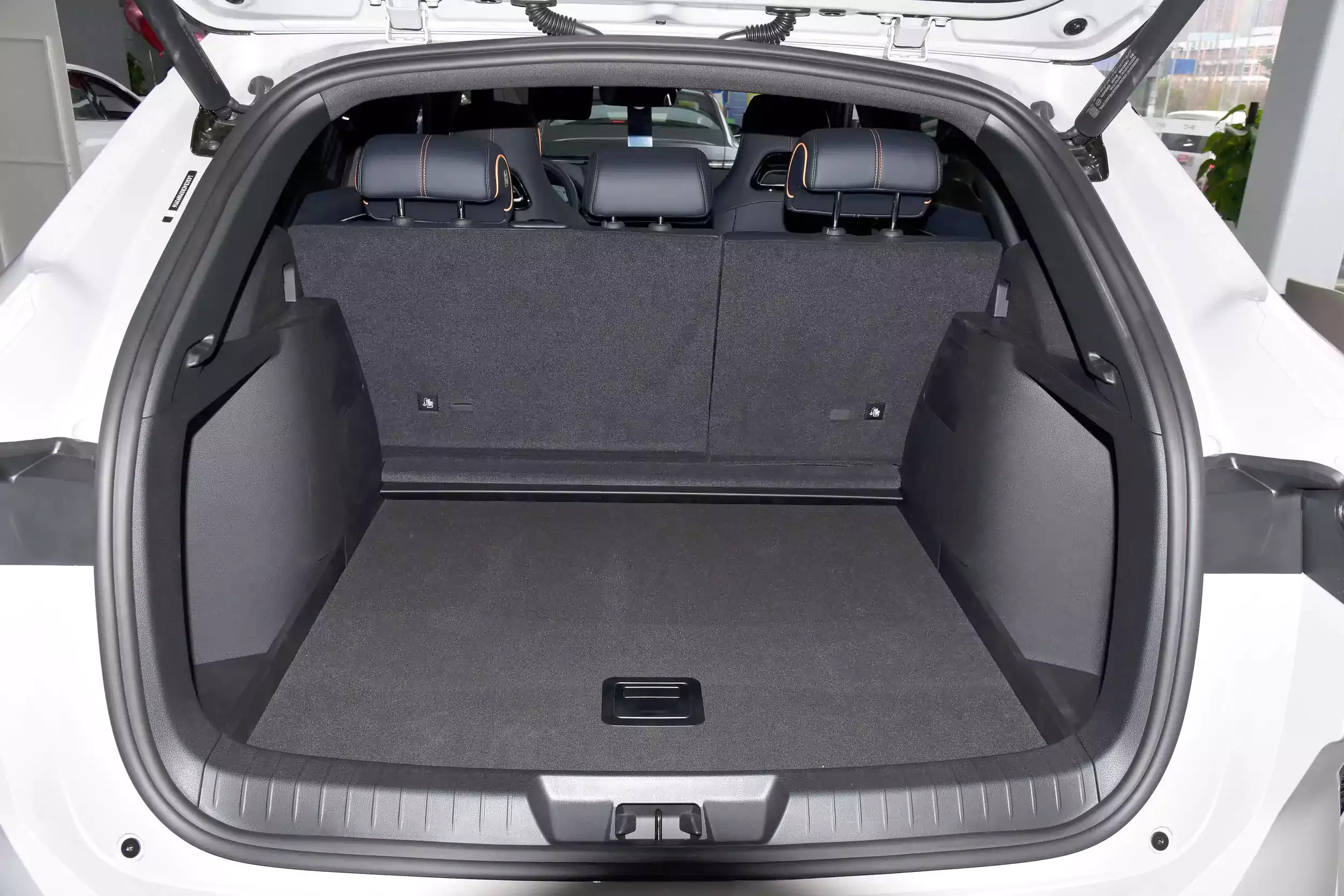 BYD Song PLUS EV 2024 space-4