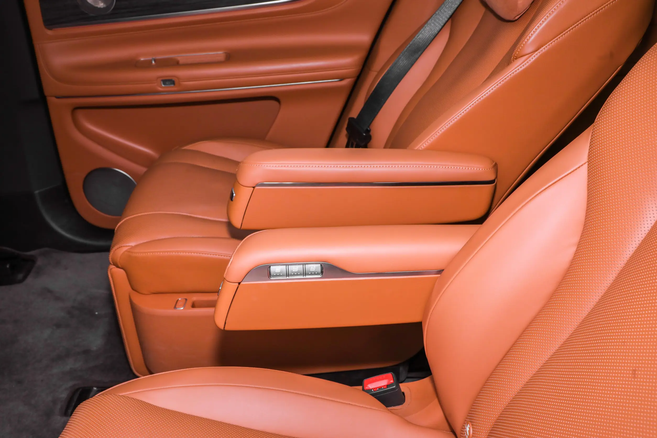 AITO M9 EV picture (14)