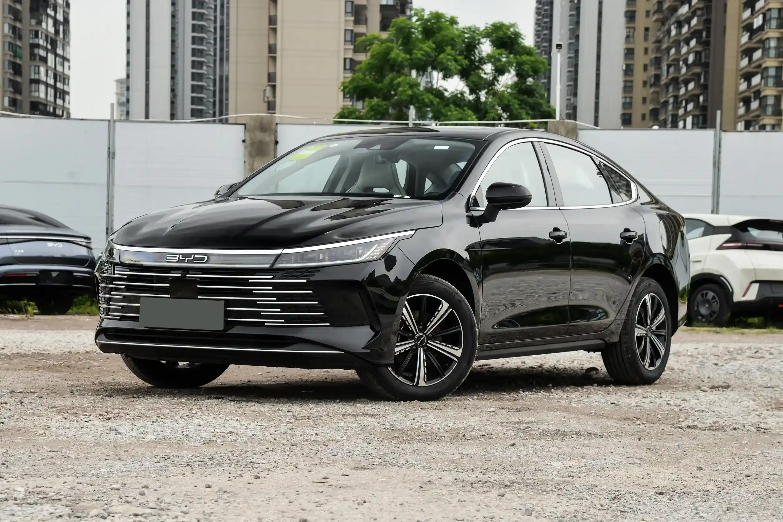 BYD Destroyer 05 picture (10)