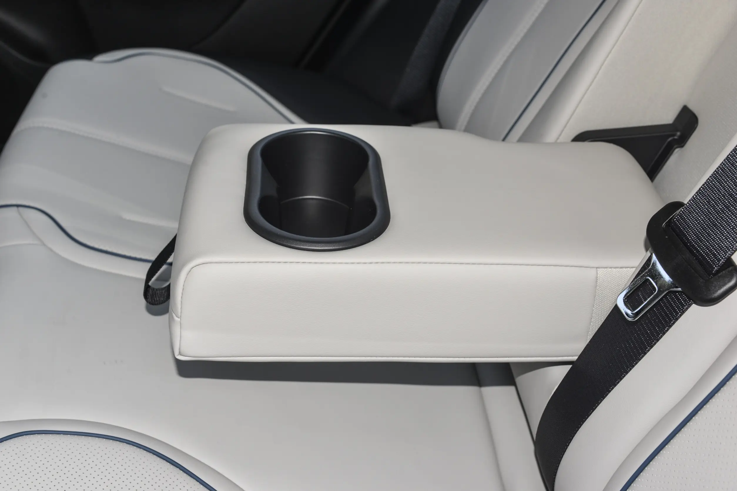 BYD Destroyer 05 picture (8)