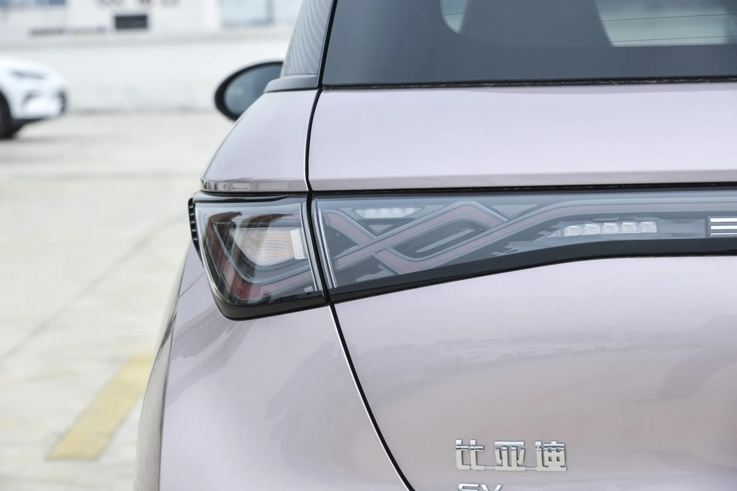 BYD Dolphin picture (1)