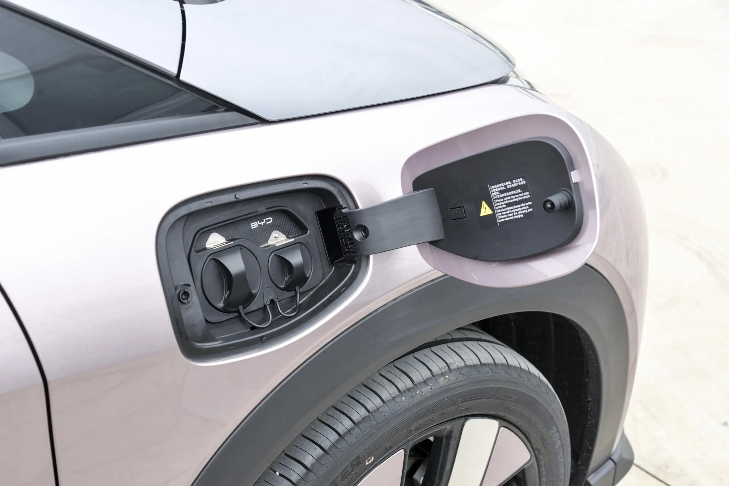 BYD Dolphin picture (2)