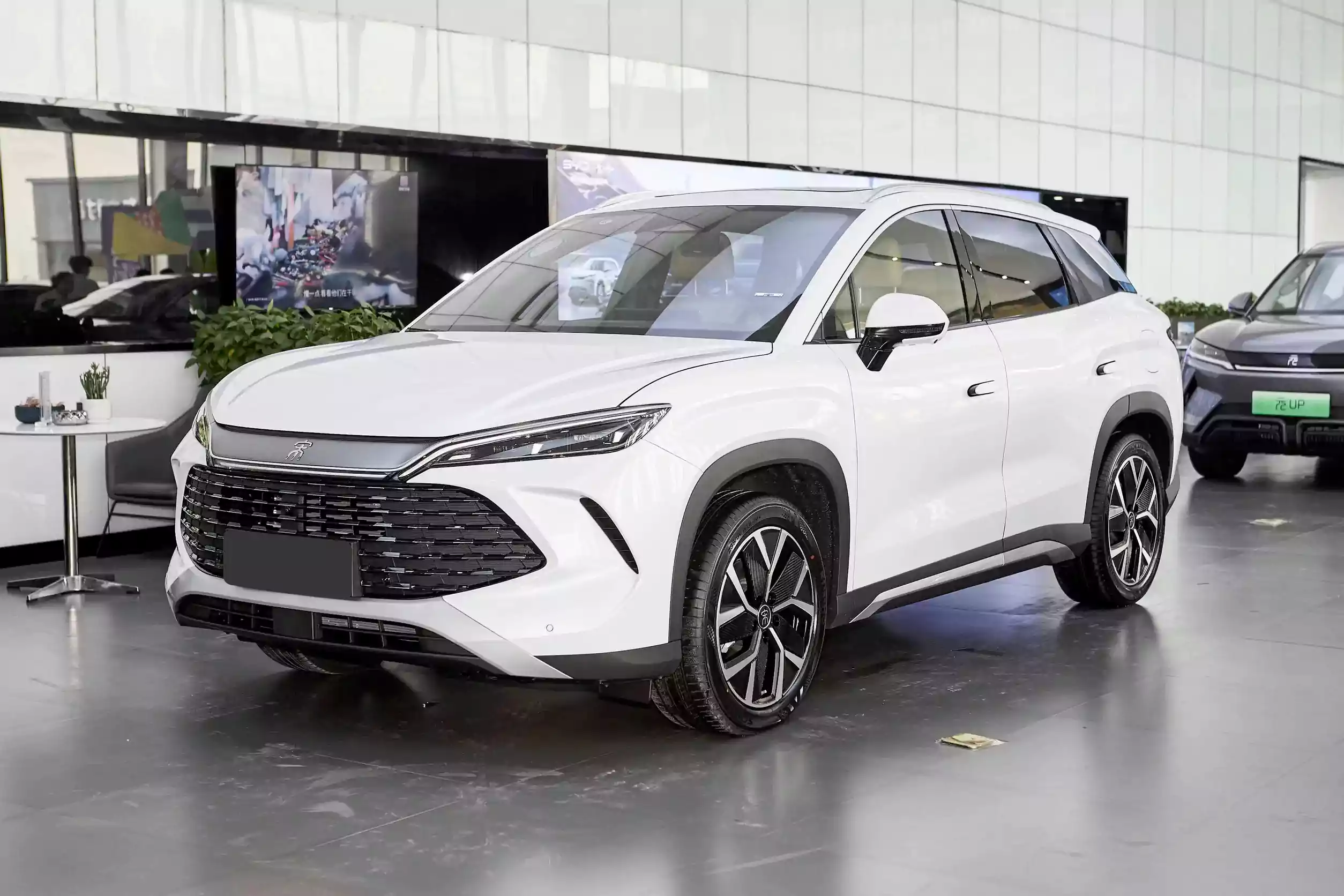 BYD Song L DM 2024 picture-1