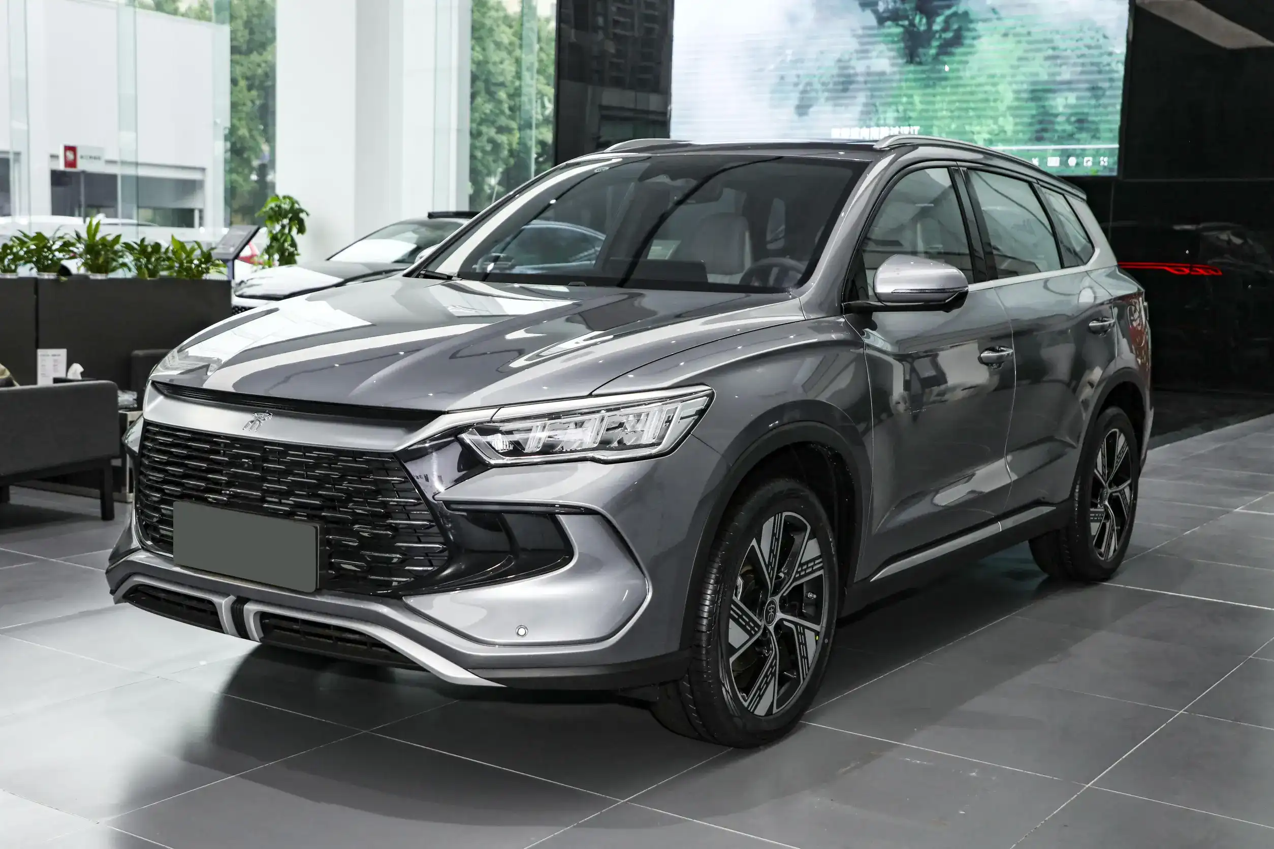 BYD Song Pro DM-i picture (12)