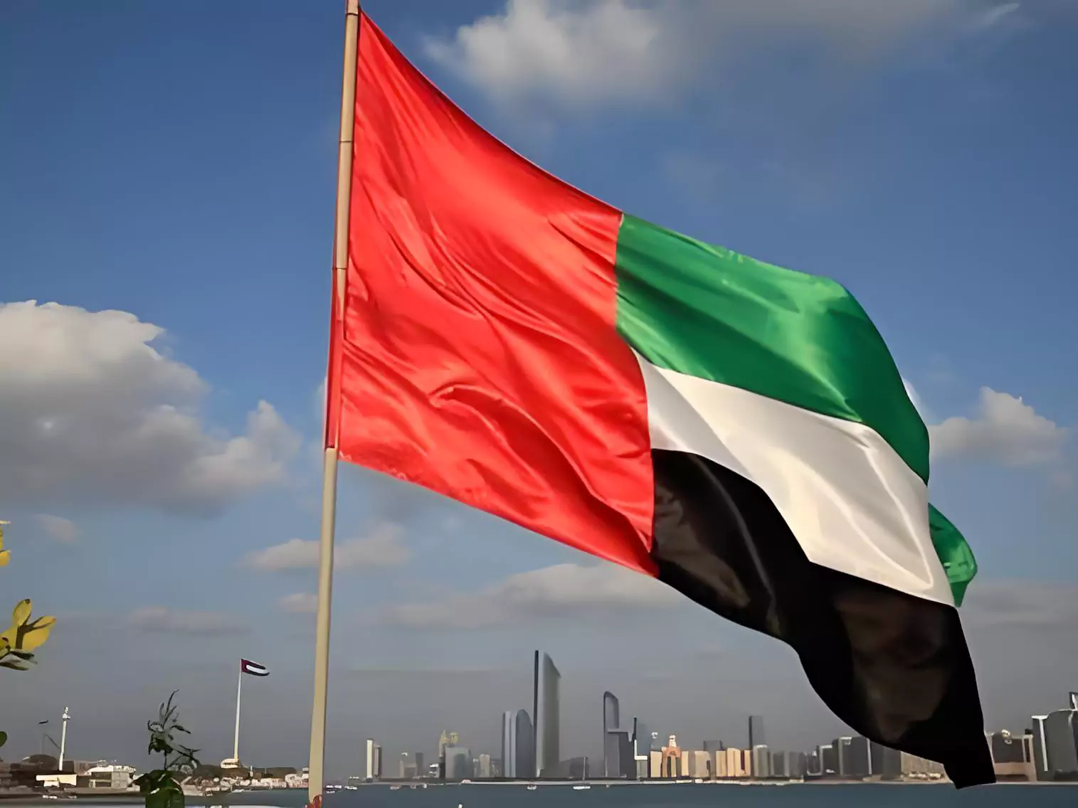 Flag of the United Arab Emirates