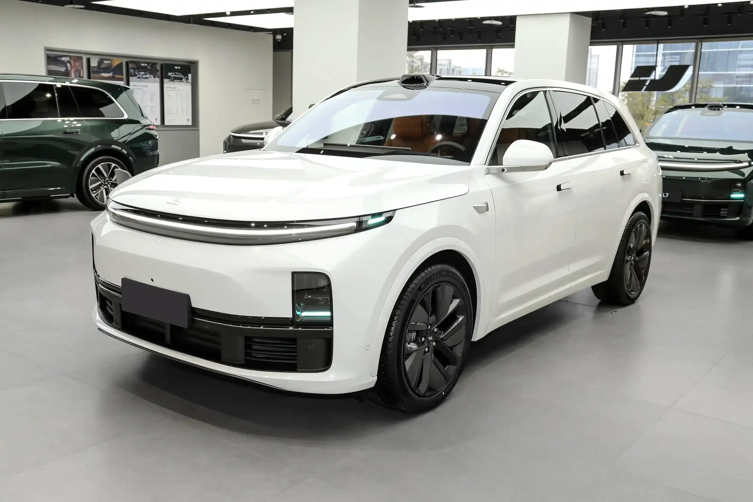 Li Auto L7 picture (8)