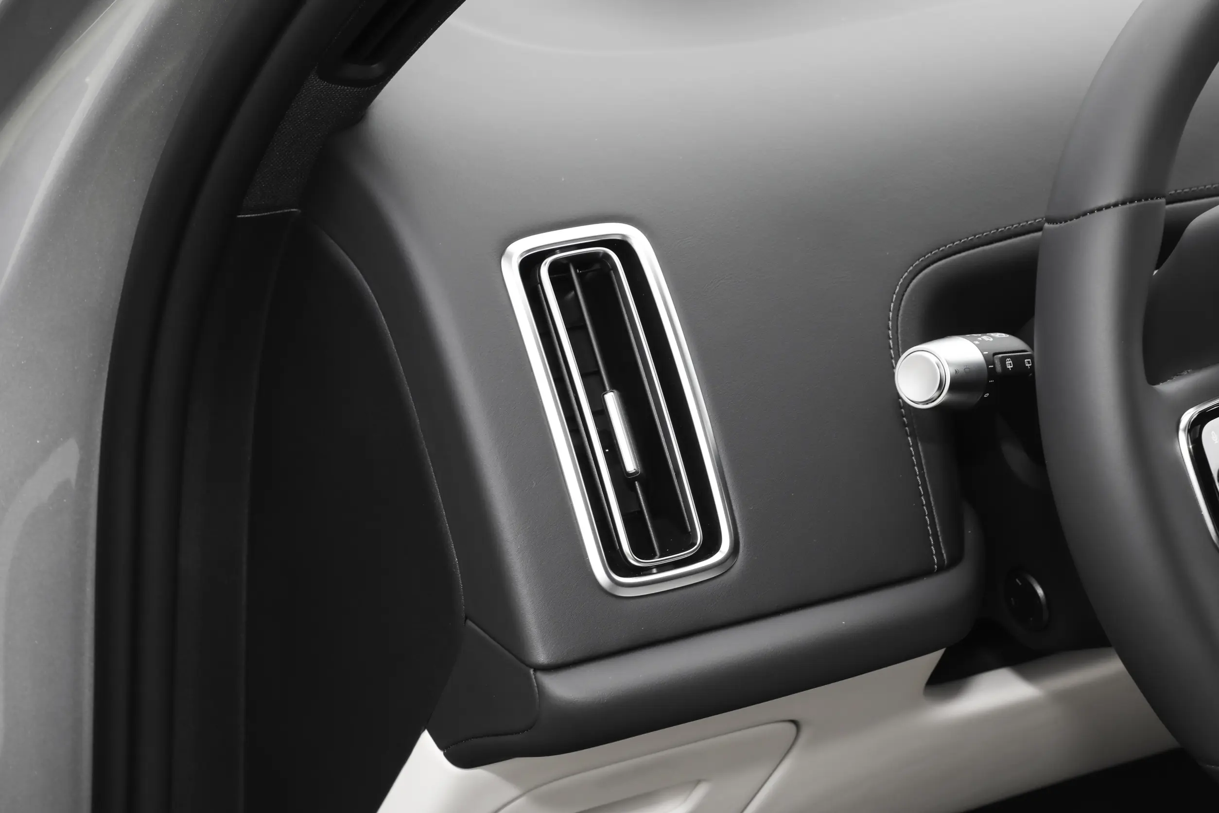 Li Auto L8 picture (1)