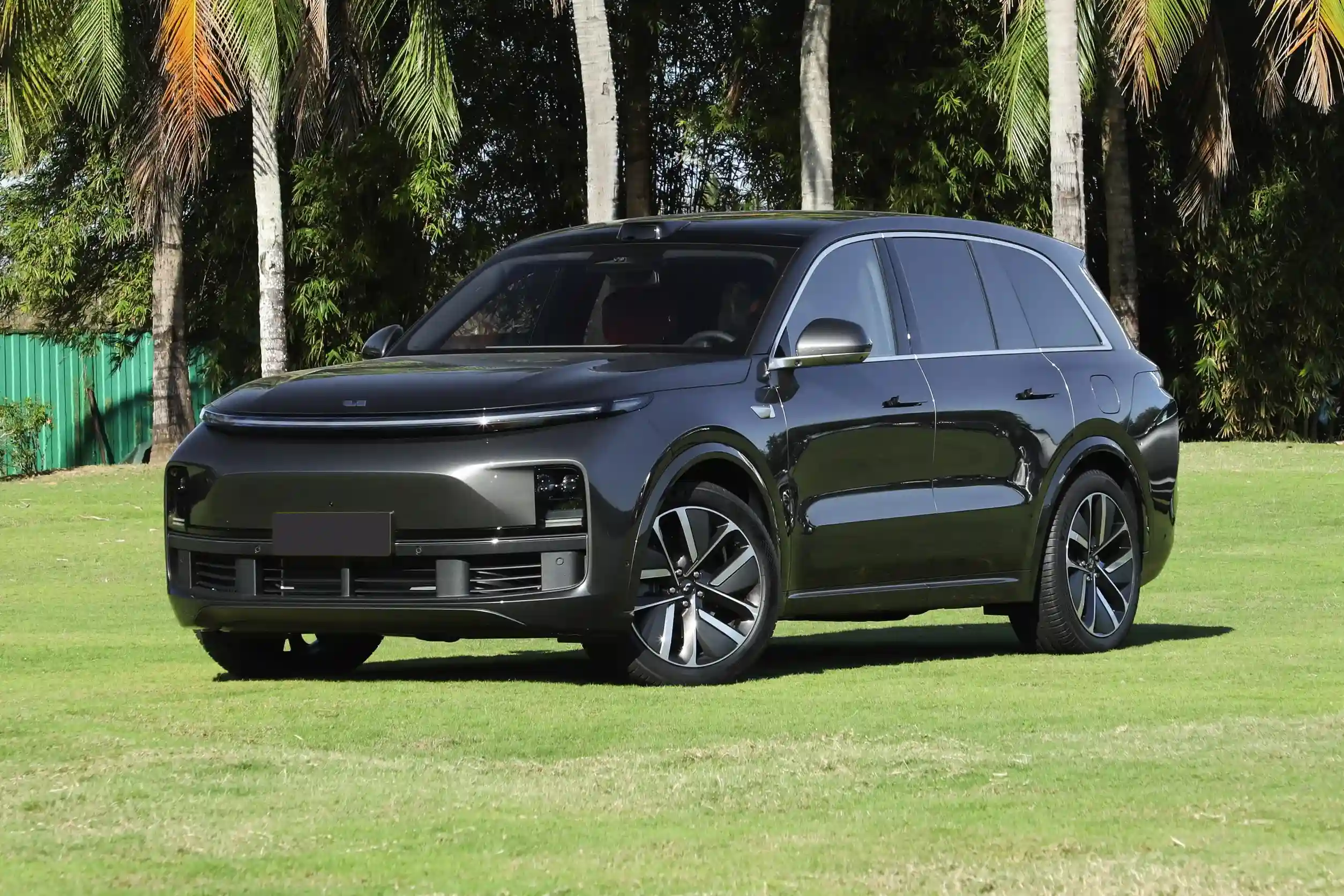 Li Auto L8 picture (10)