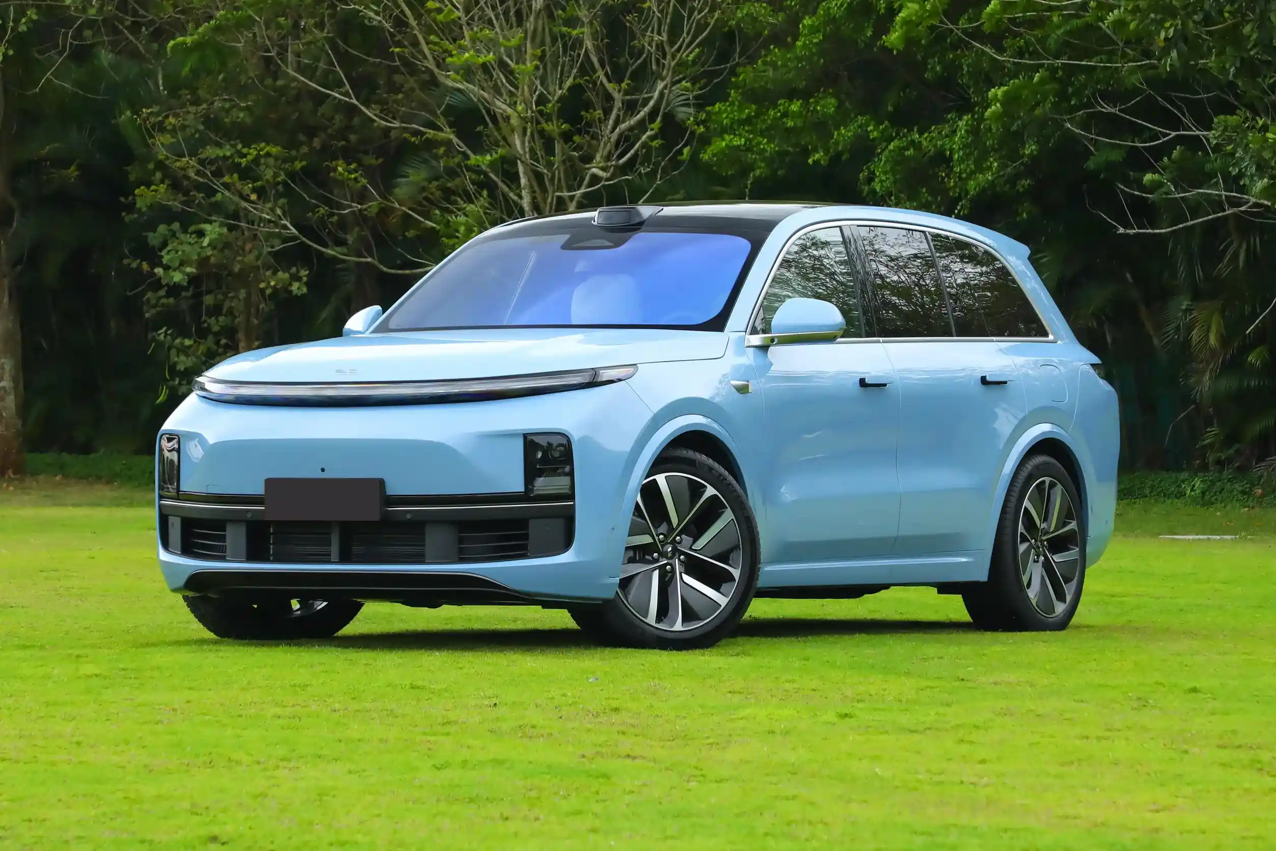 Li Auto L8 picture (11)