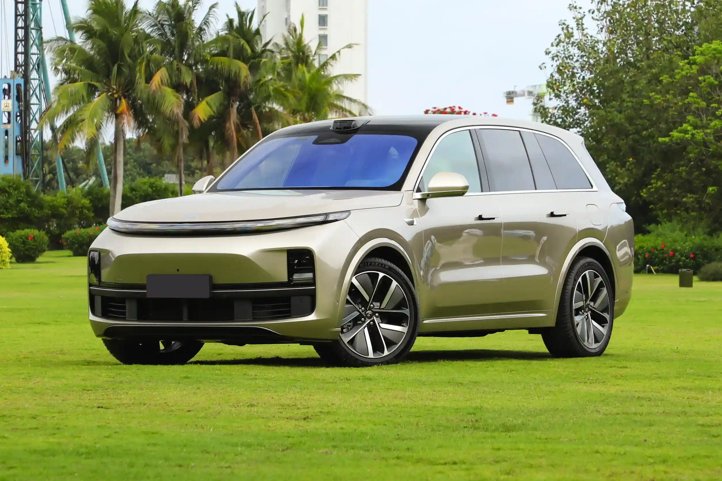 Li Auto L8 picture (12)