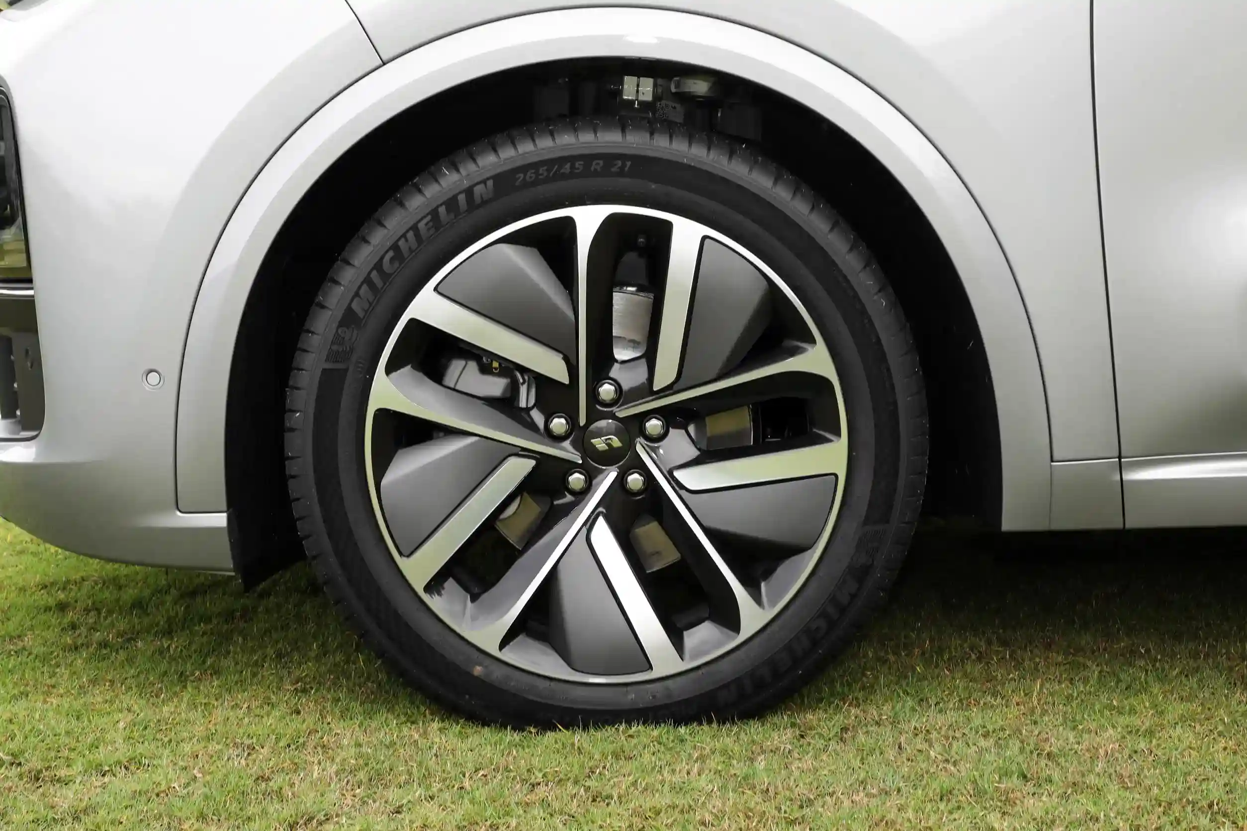 Li Auto L8 picture (14)