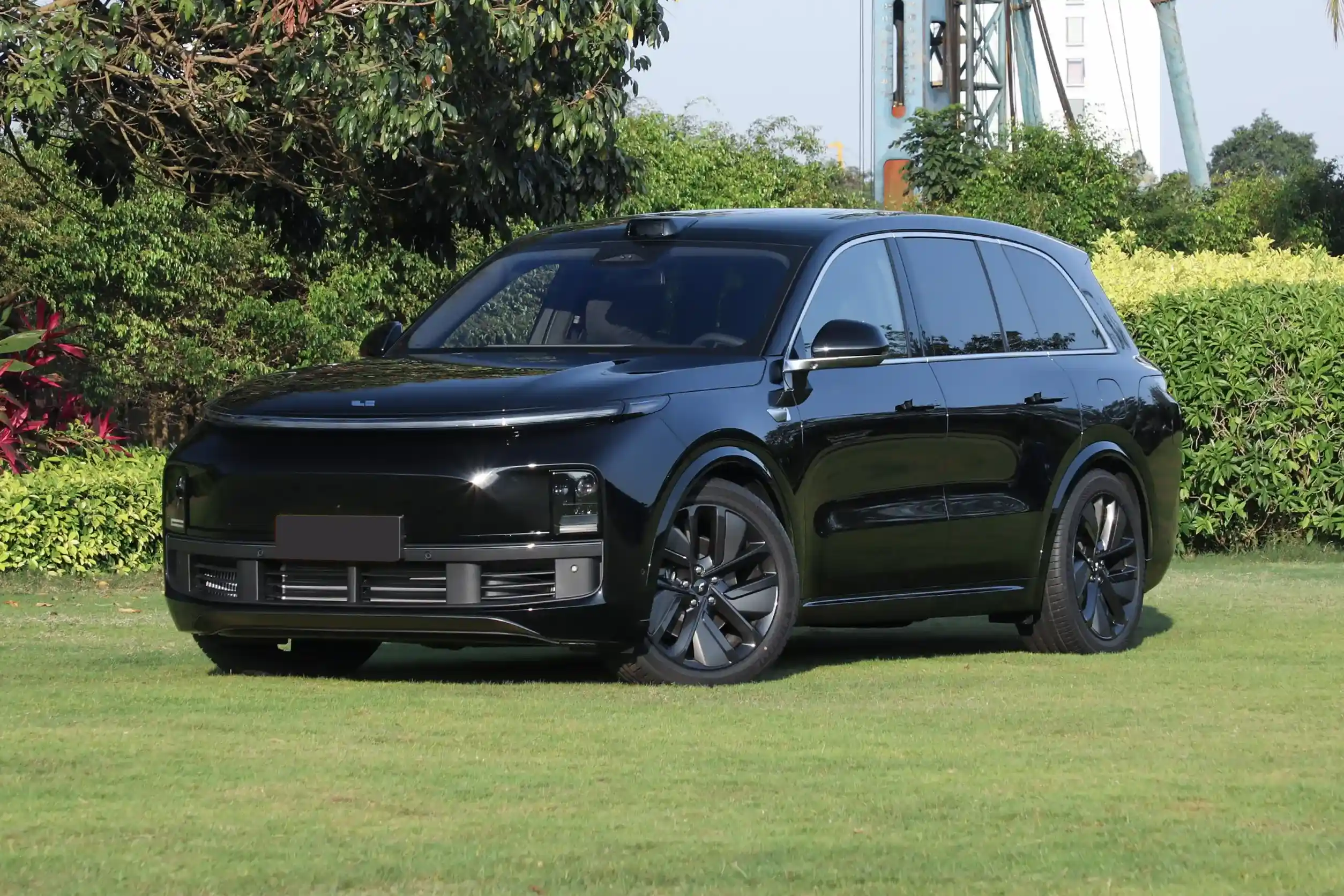 Li Auto L8 picture (8)