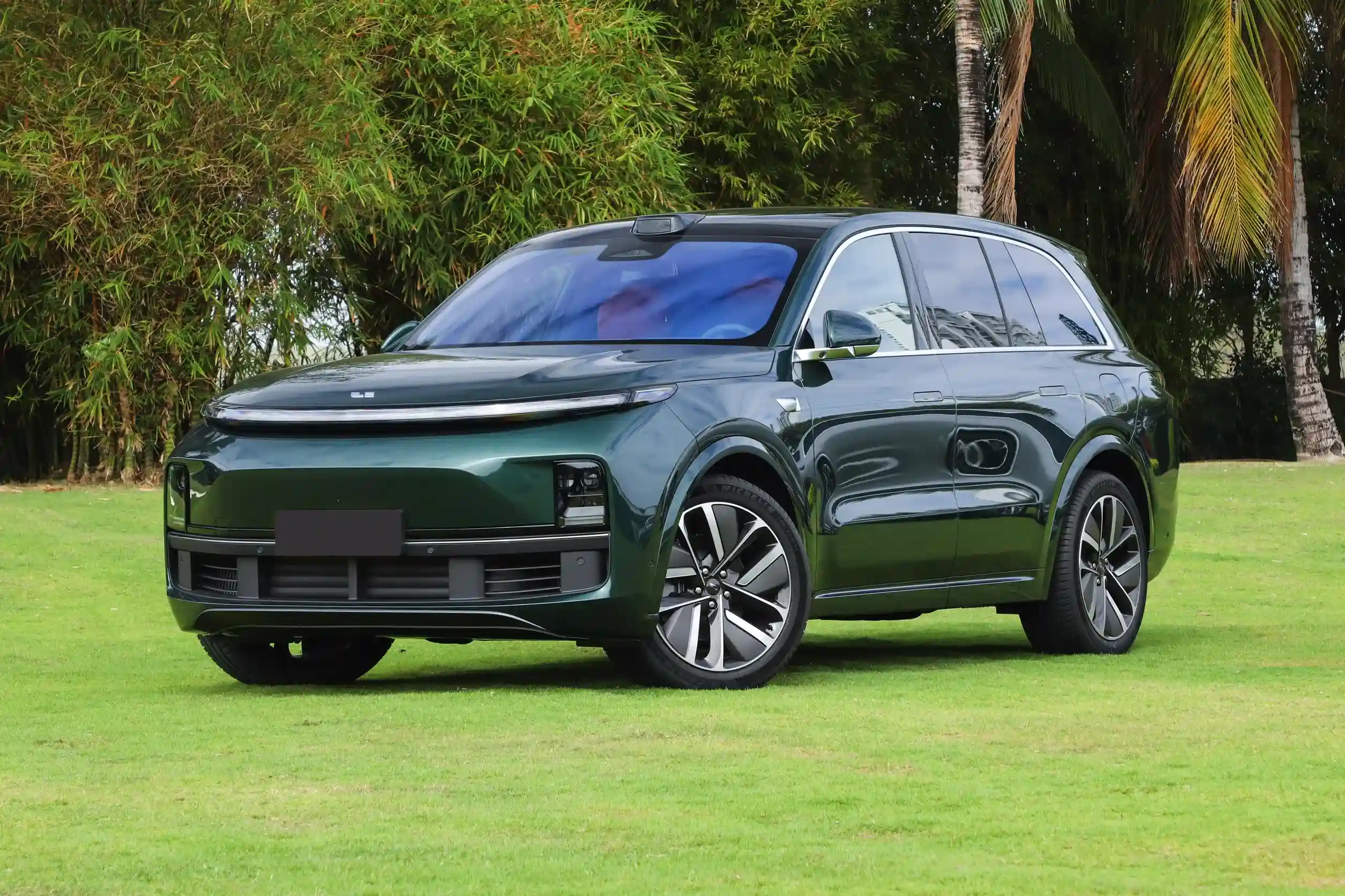 Li Auto L8 picture (9)