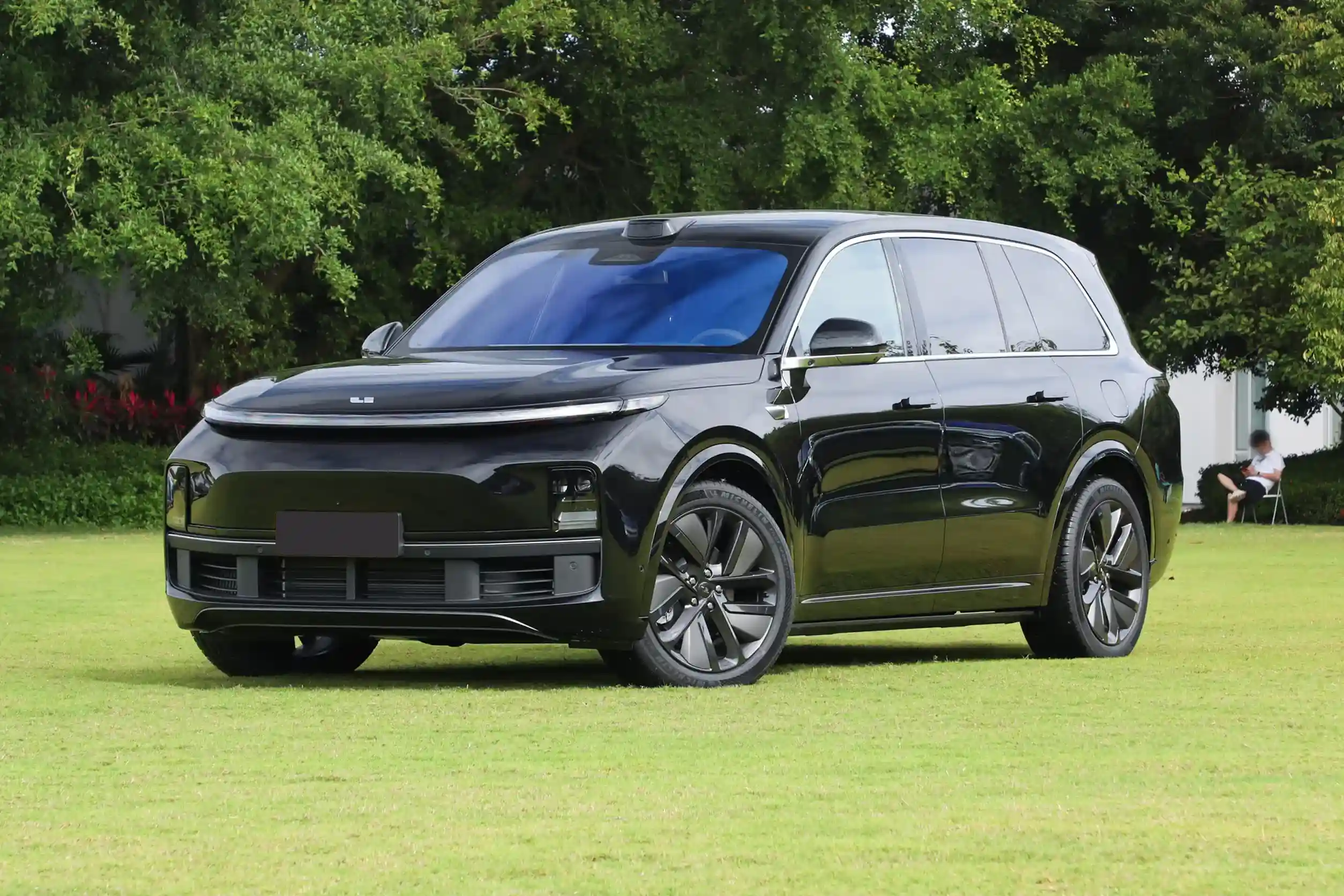 Li Auto L9 picture (1)