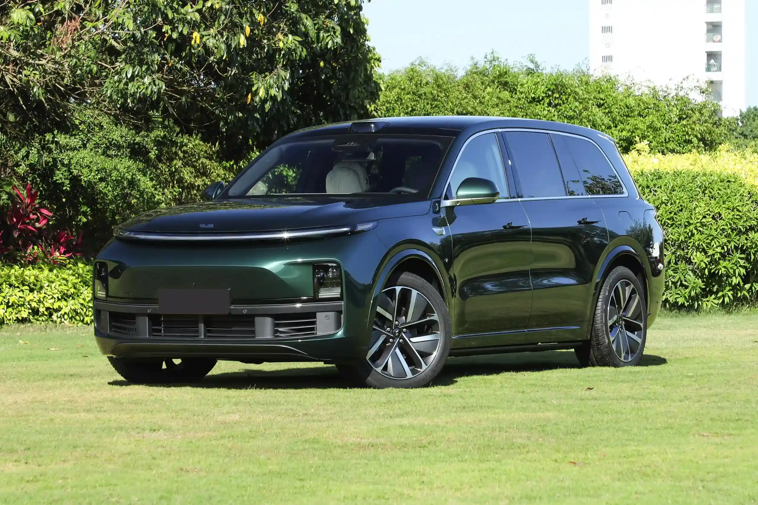 Li Auto L9 picture (2)