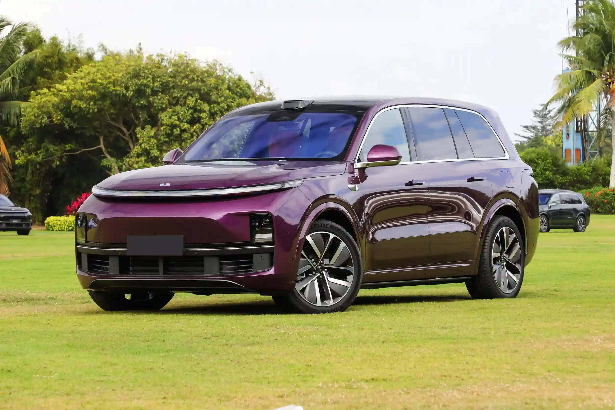 Li Auto L9 picture (4)