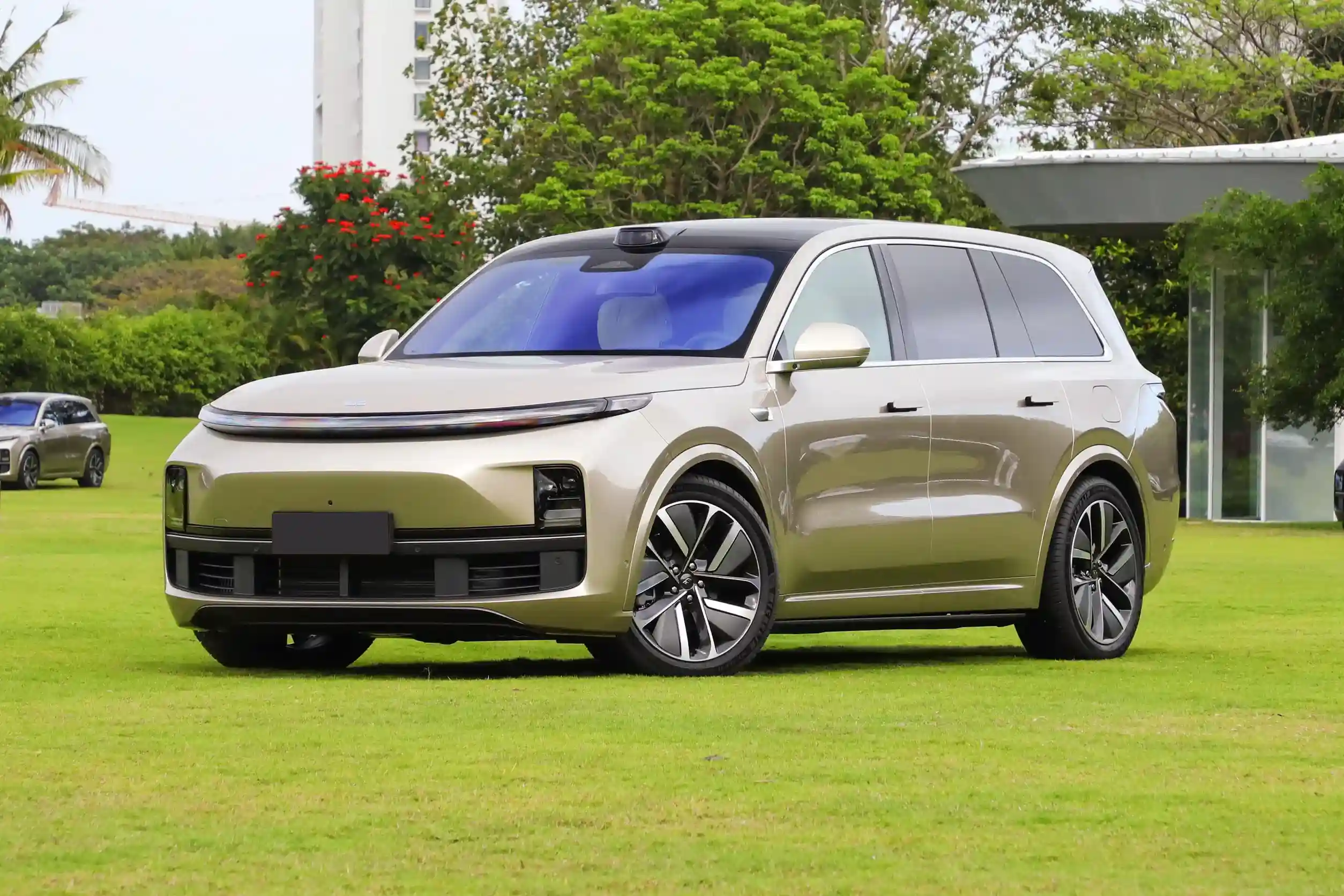 Li Auto L9 picture (5)