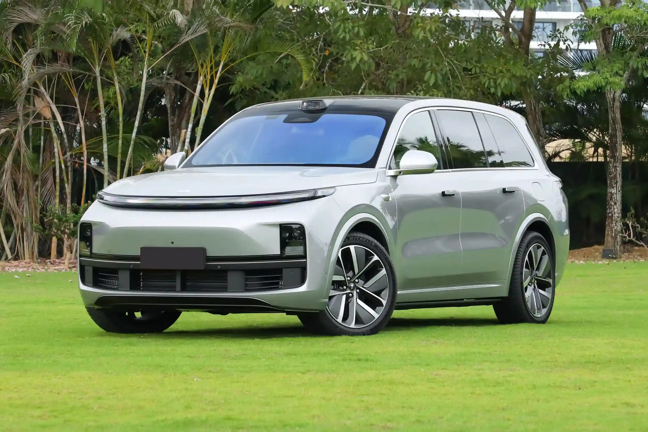 Li Auto L9 picture (6)