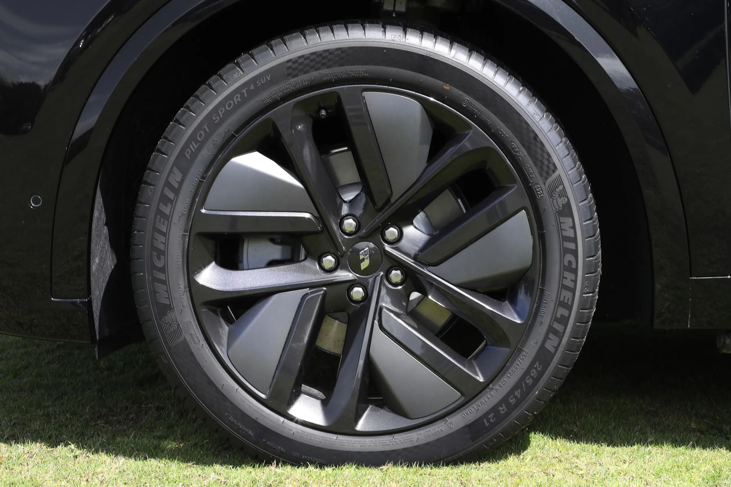 Li Auto L9 picture (8)