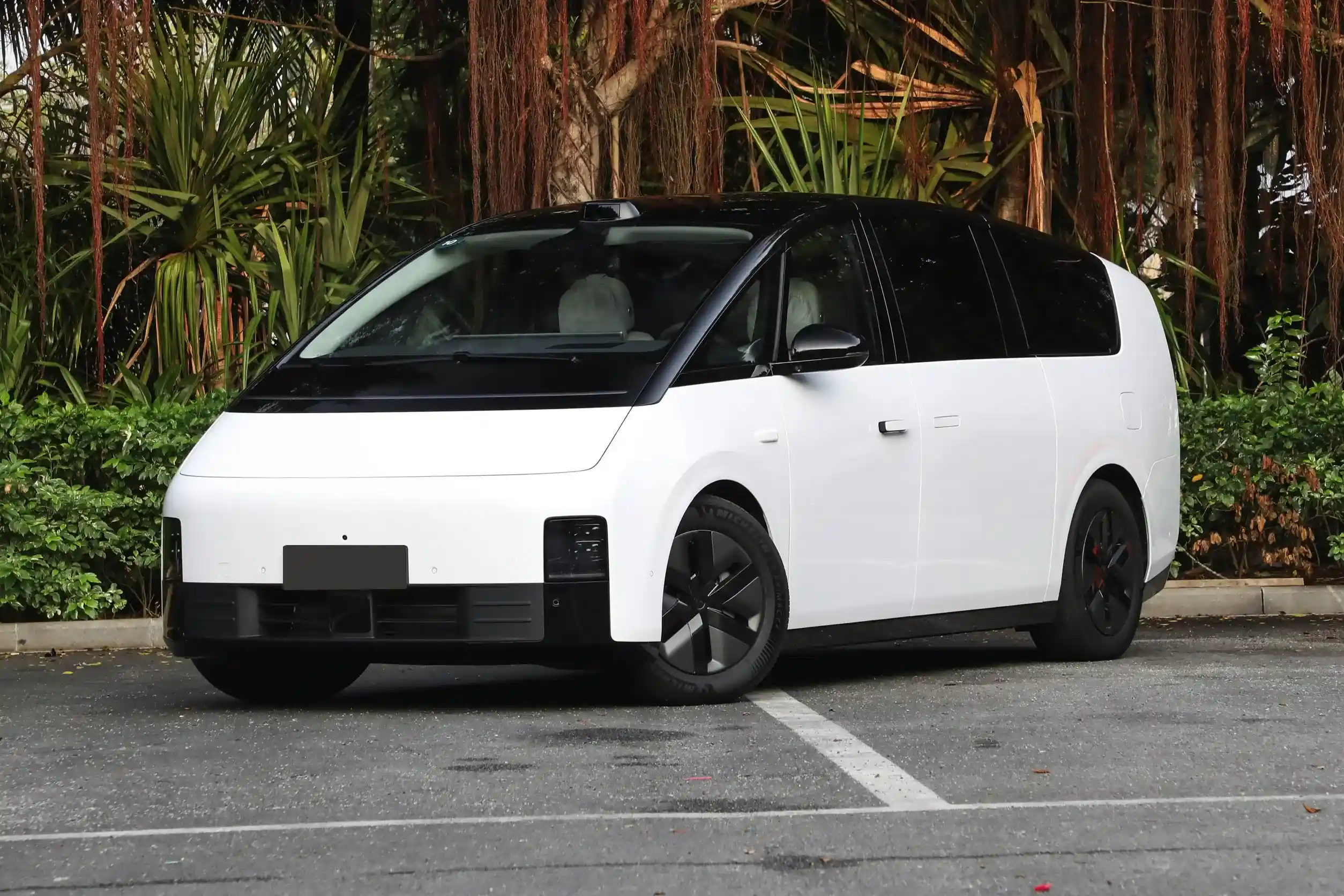 Li Auto MEGA picture (5)