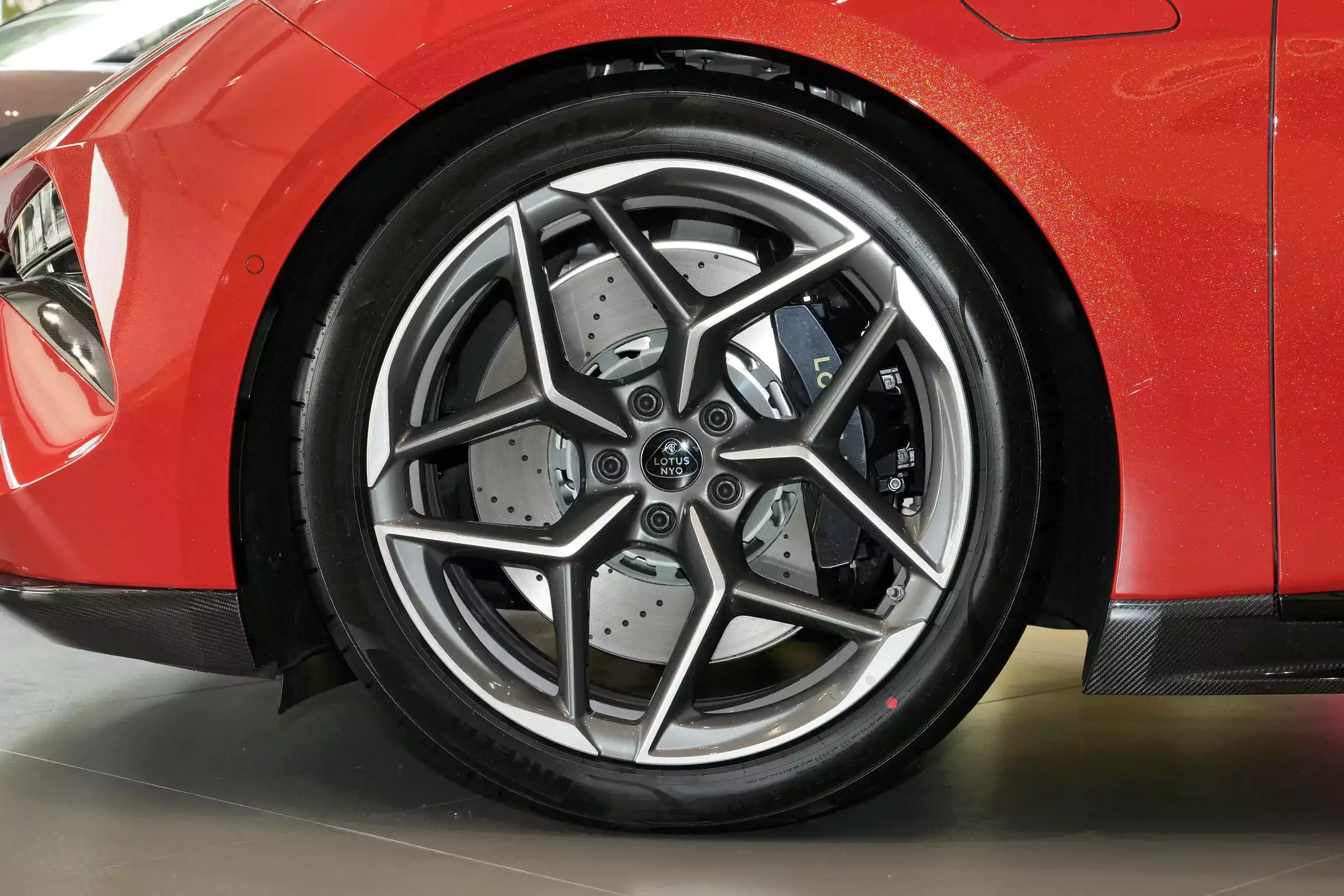 Lotus Emeya picture (1)