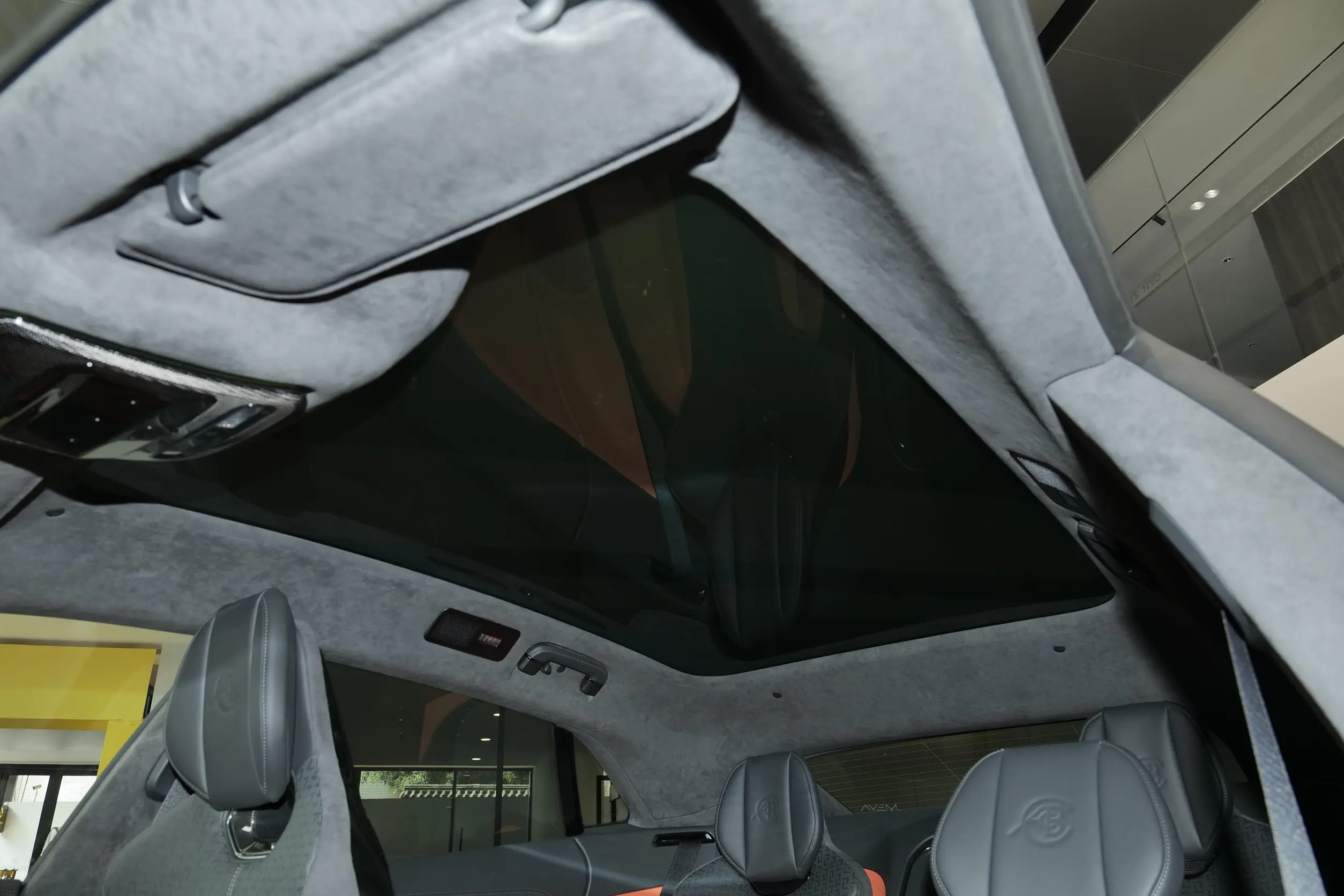 Lotus Emeya picture (2)