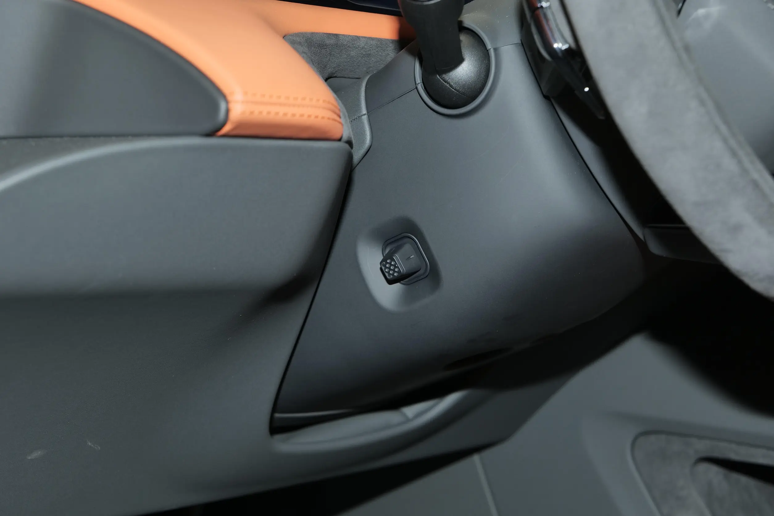 Lotus Emeya picture (6)