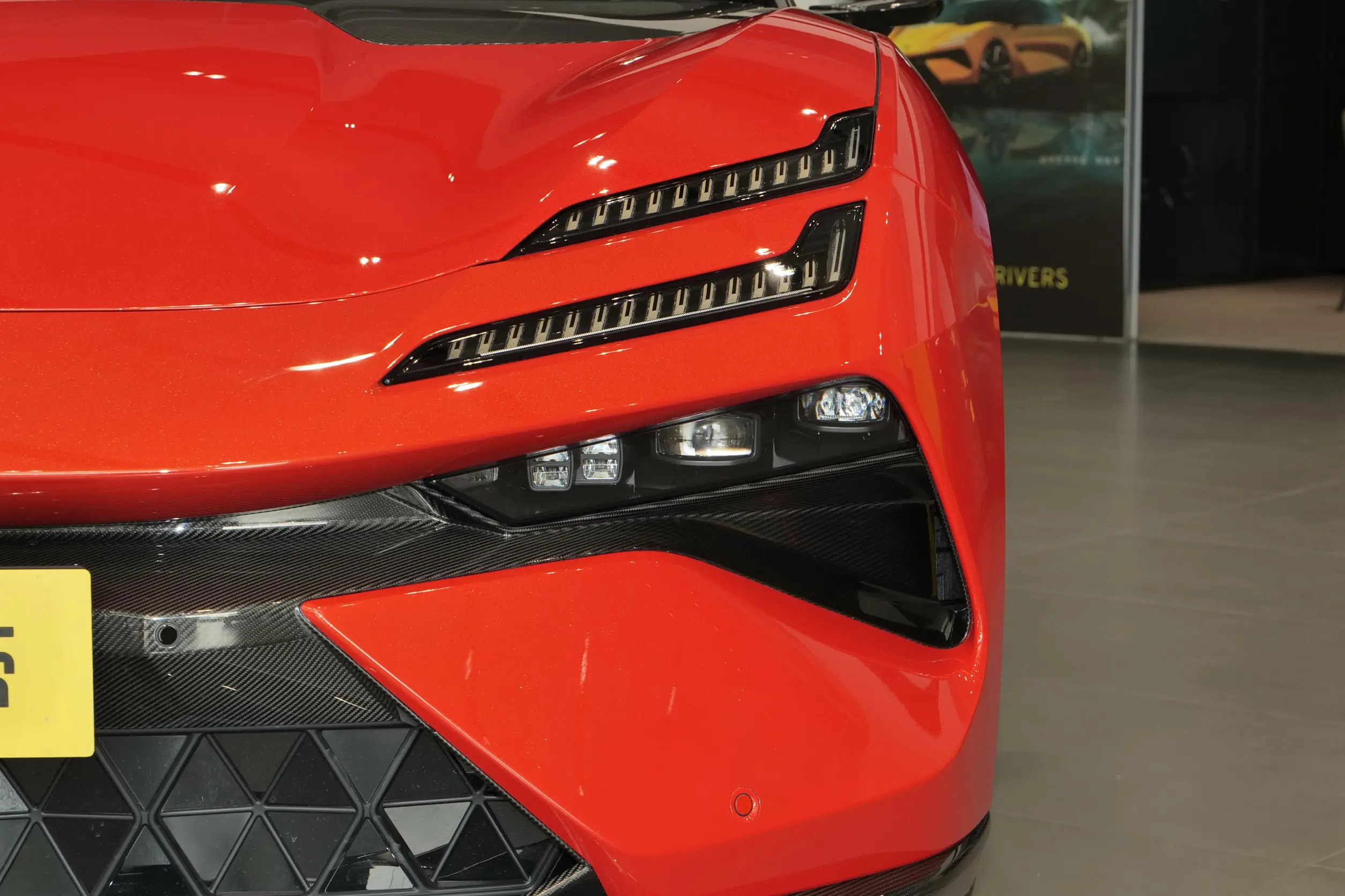 Lotus Emeya picture (9)