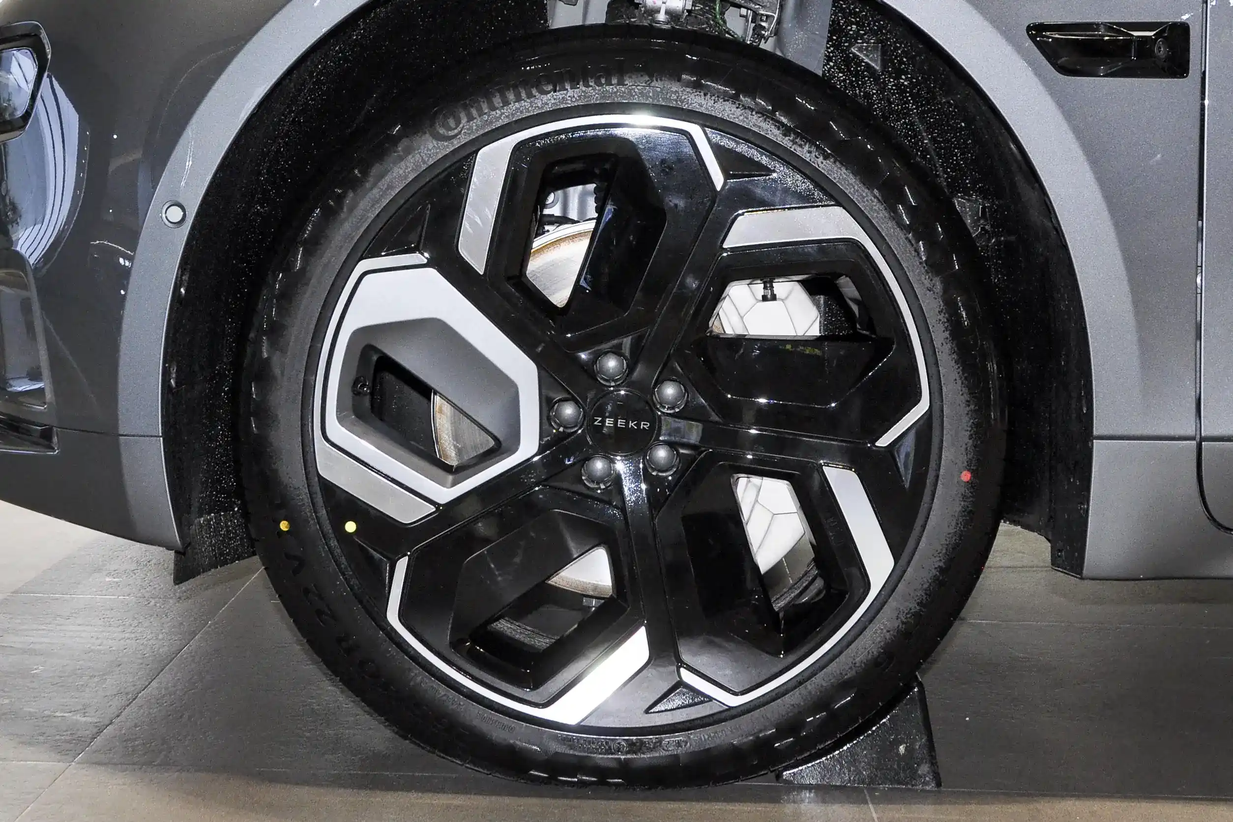 ZEEKR 001 2023 picture (5)
