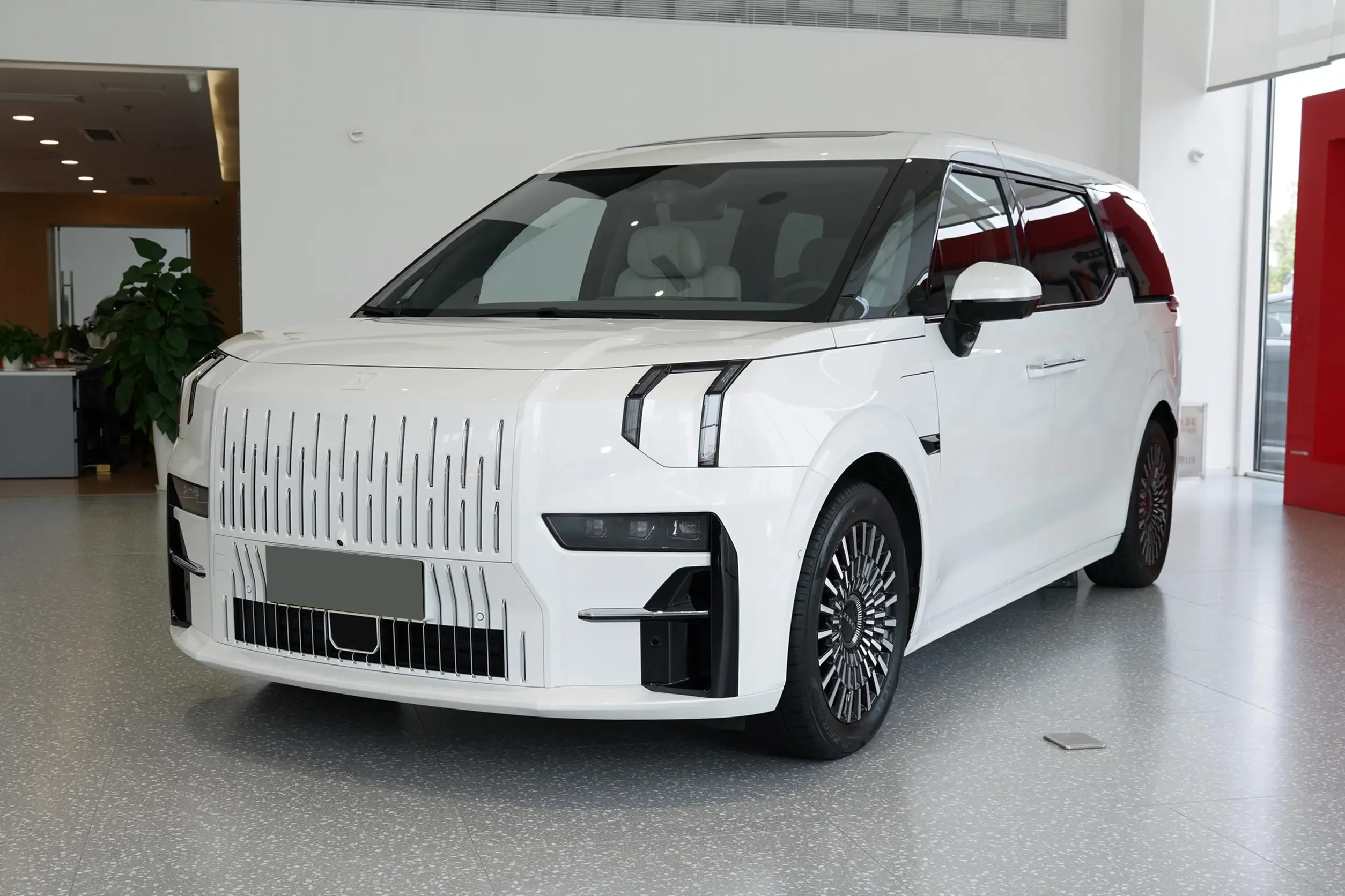 ZEEKR 009 picture (10)