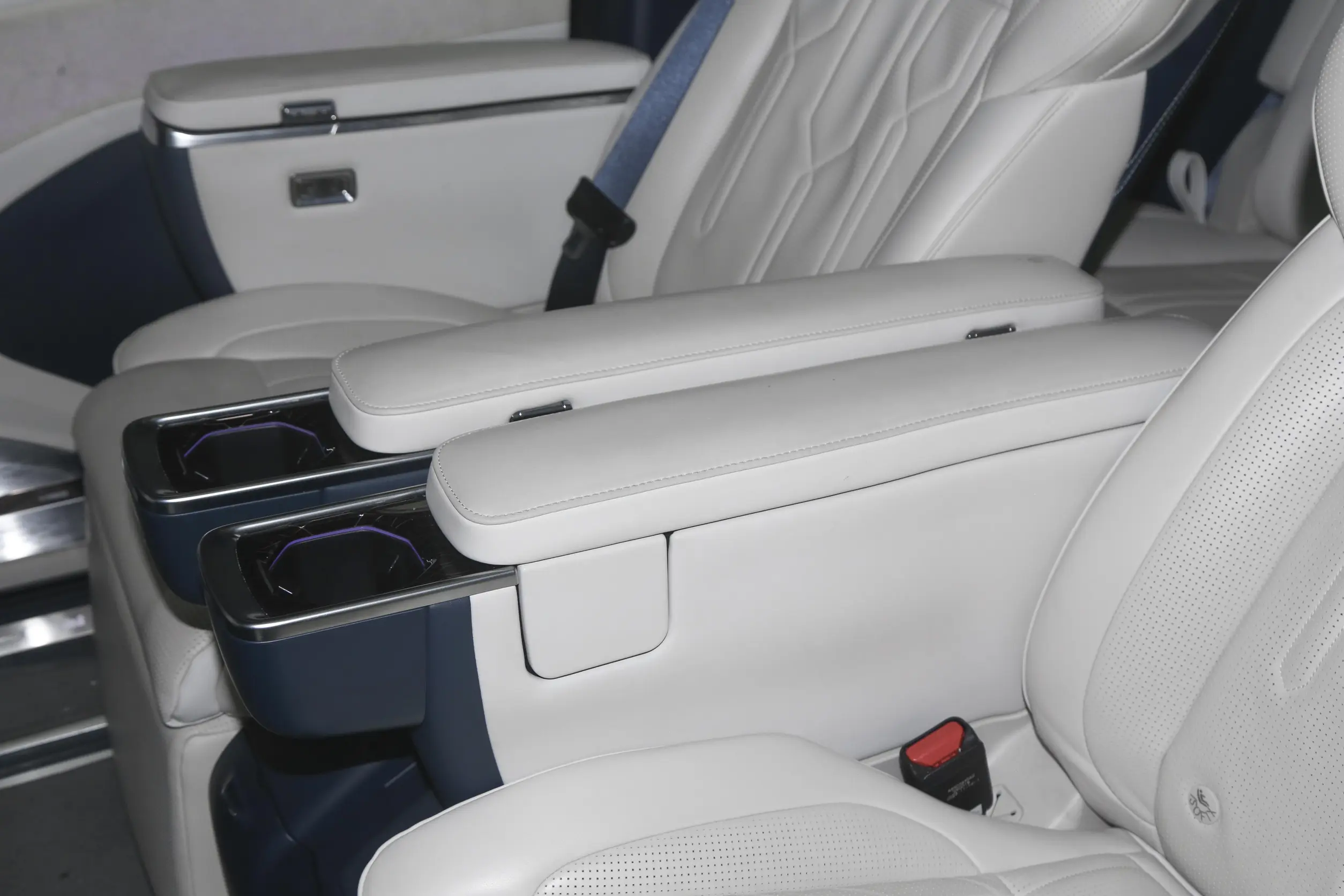 ZEEKR 009 picture (6)