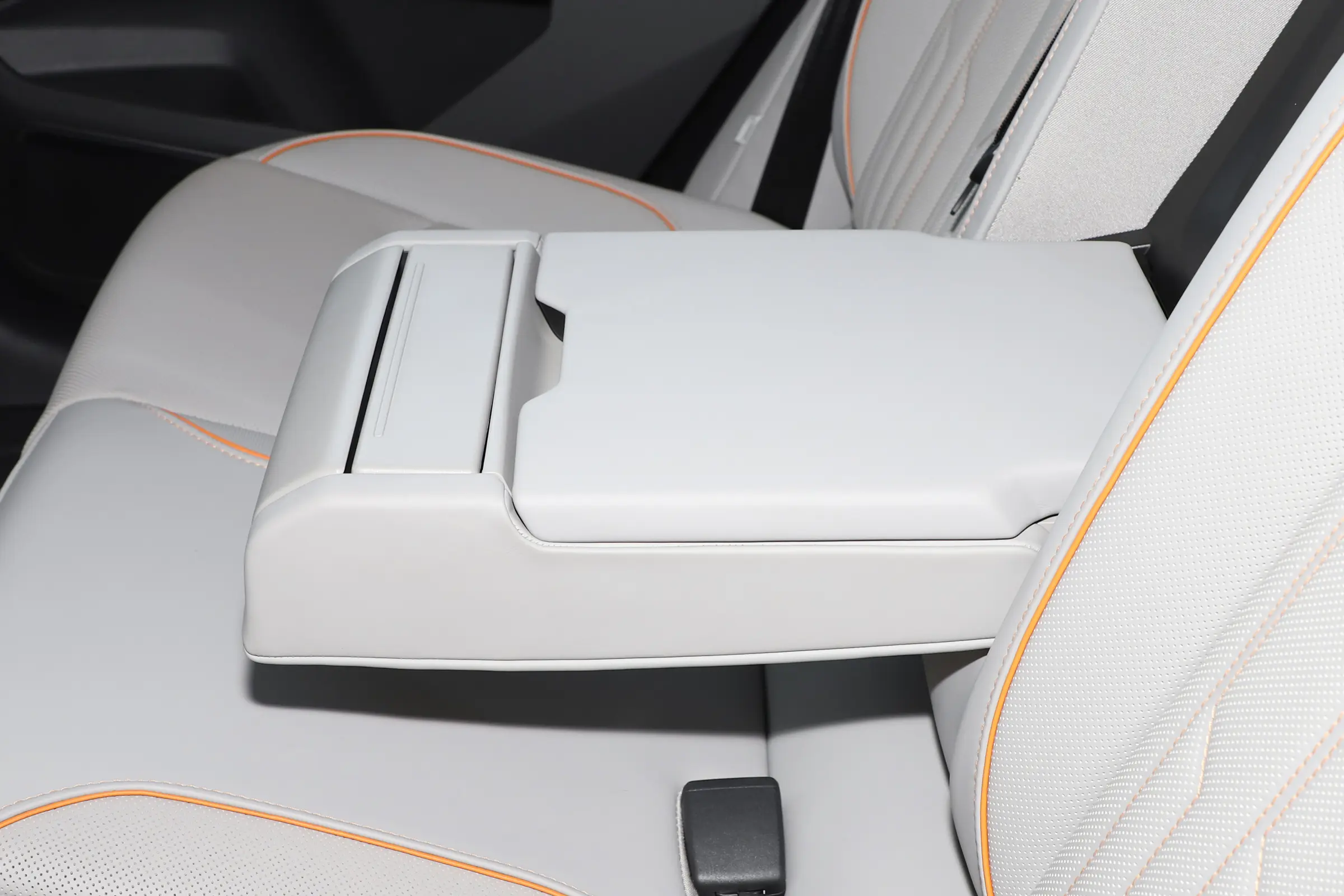 Audi e-tron picture (8)