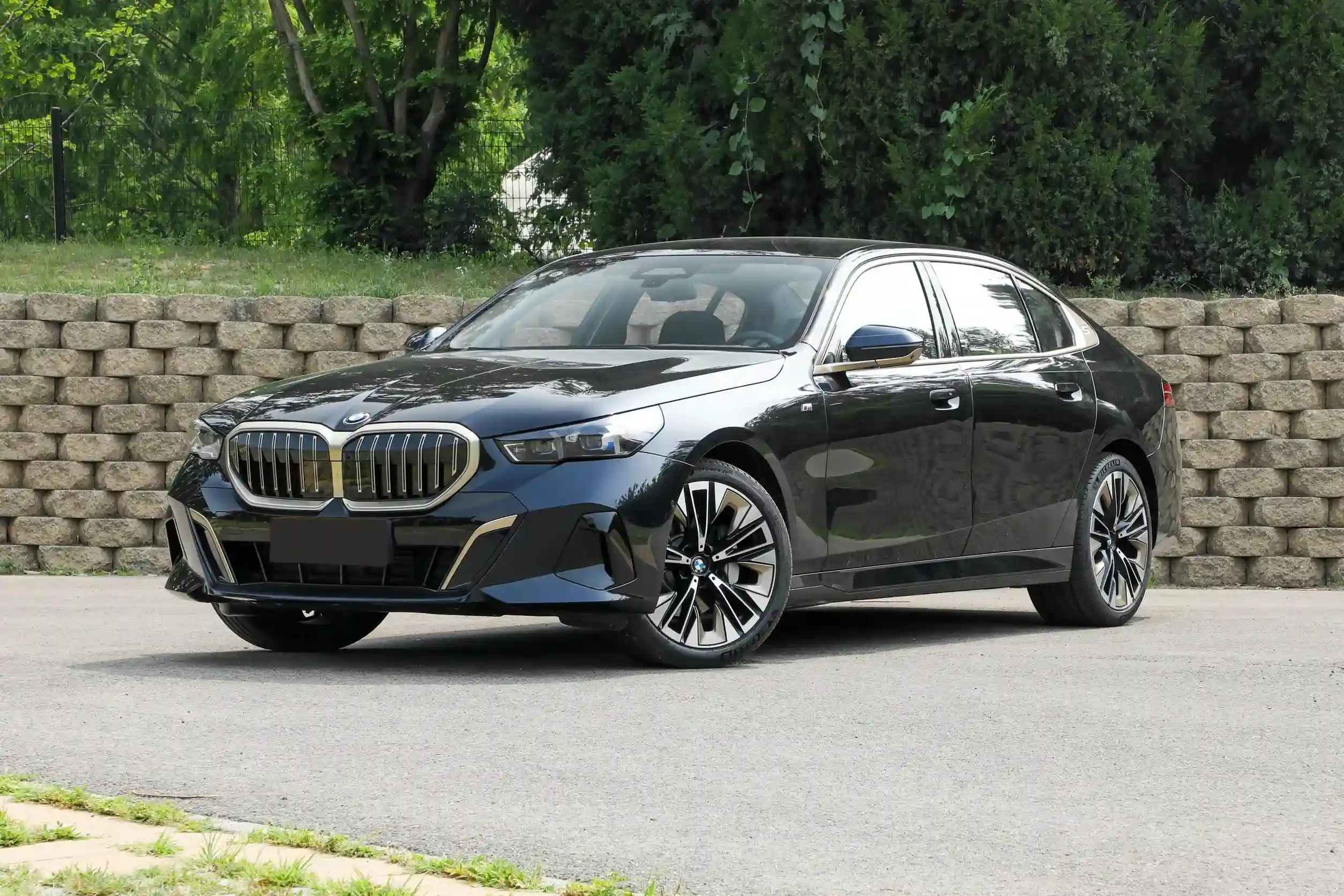 BMW 5 Series 530Li picture (15)