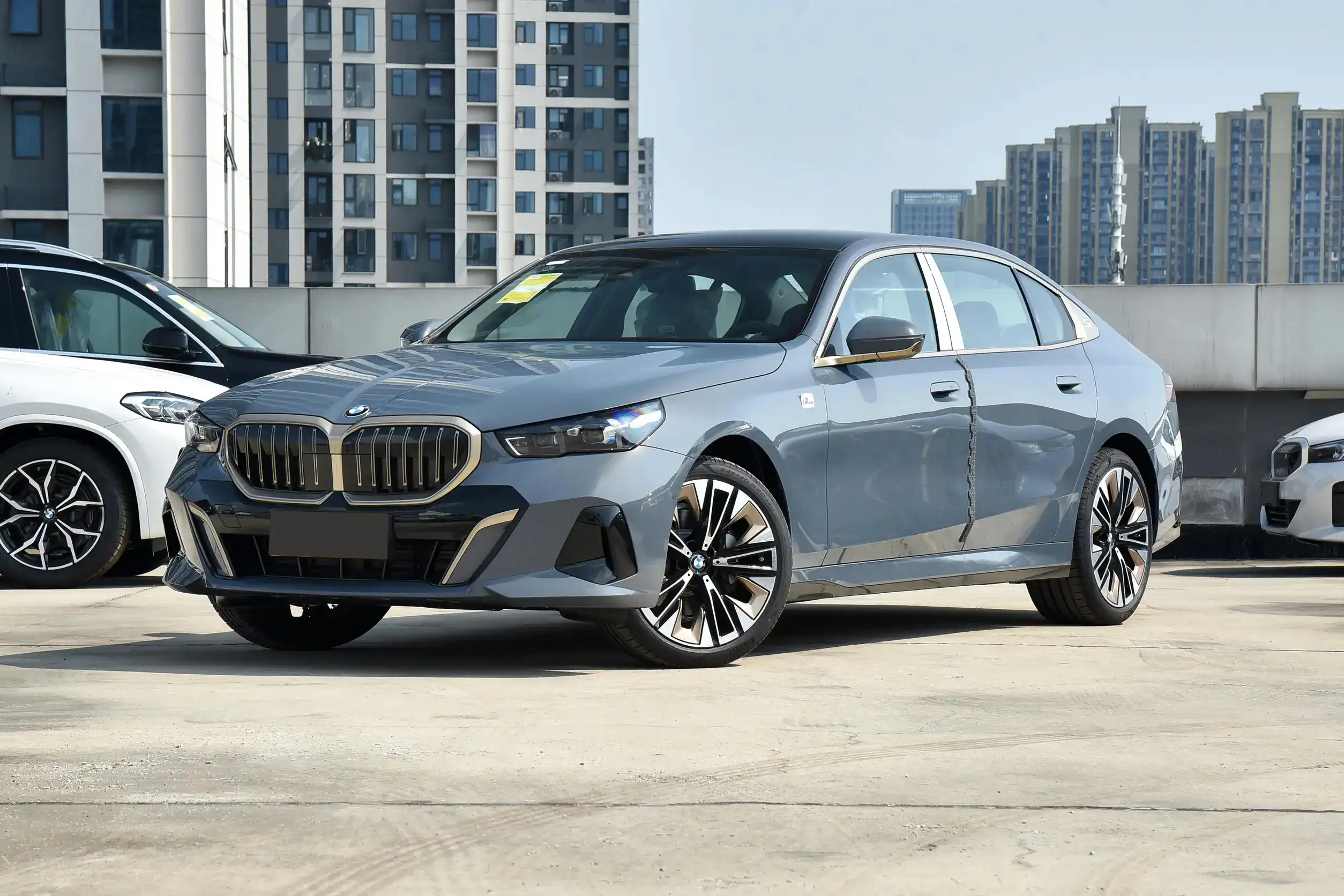 BMW 5 Series 530Li picture (16)