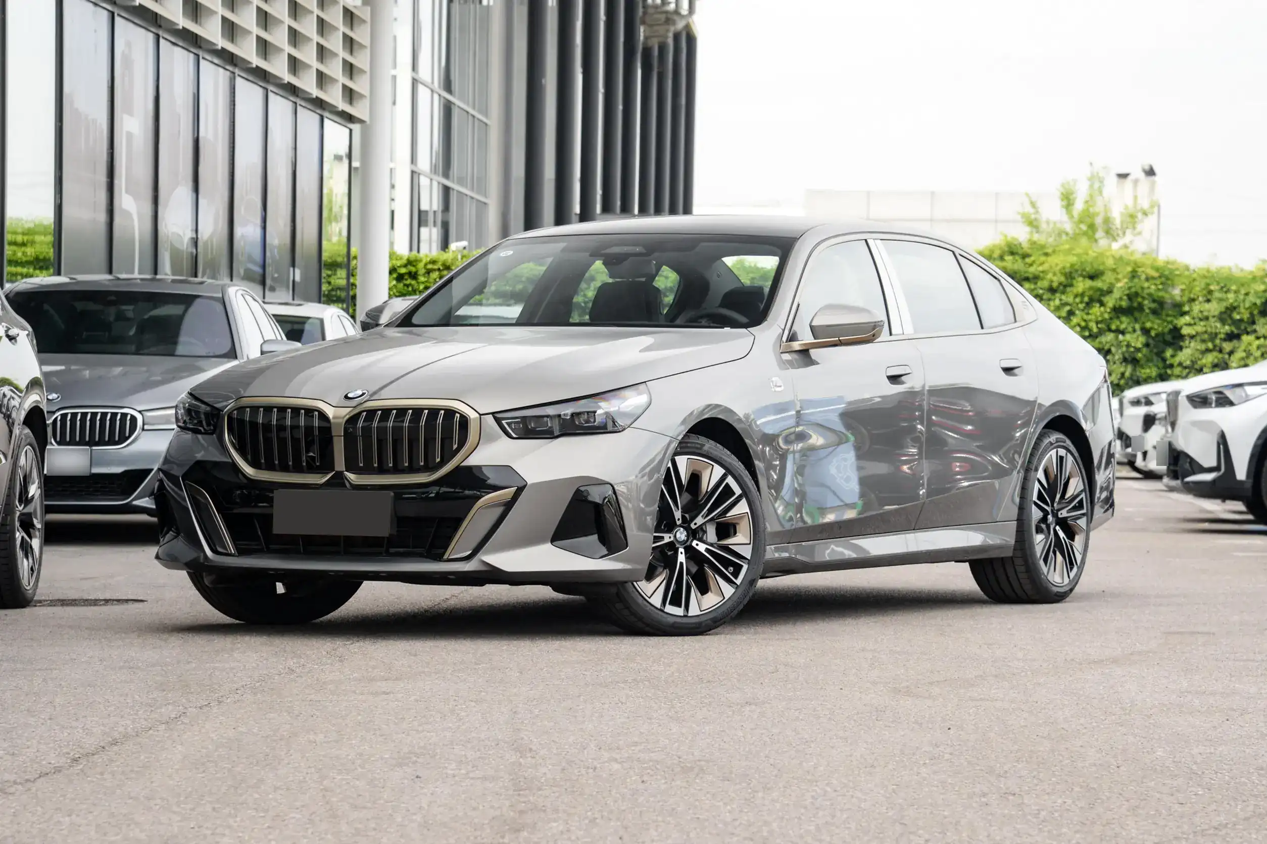 BMW 5 Series 530Li picture (2)