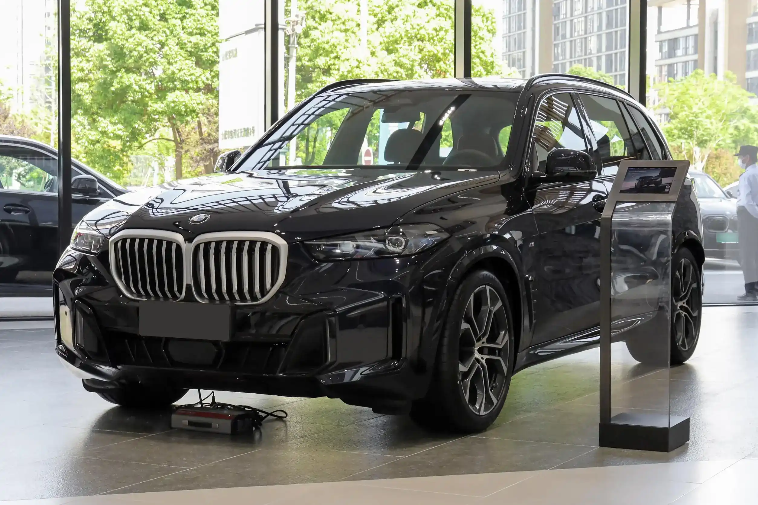 BMW X5 picture (8)