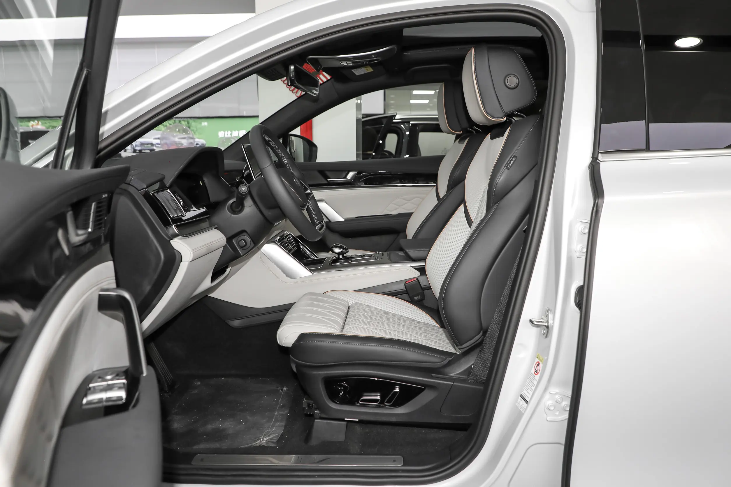 BYD Tang EV 2024 space-1