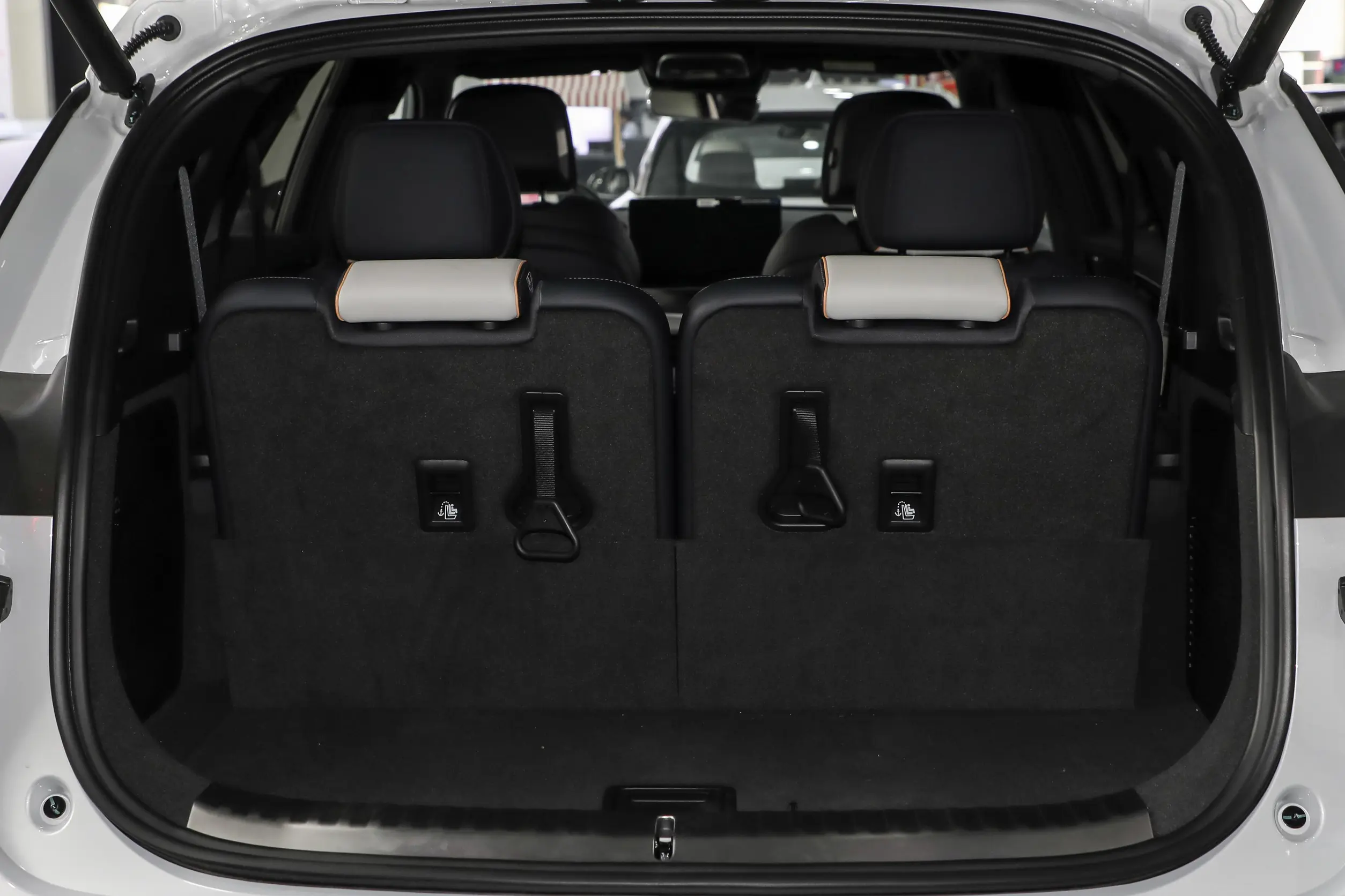 BYD Tang EV 2024 space-4