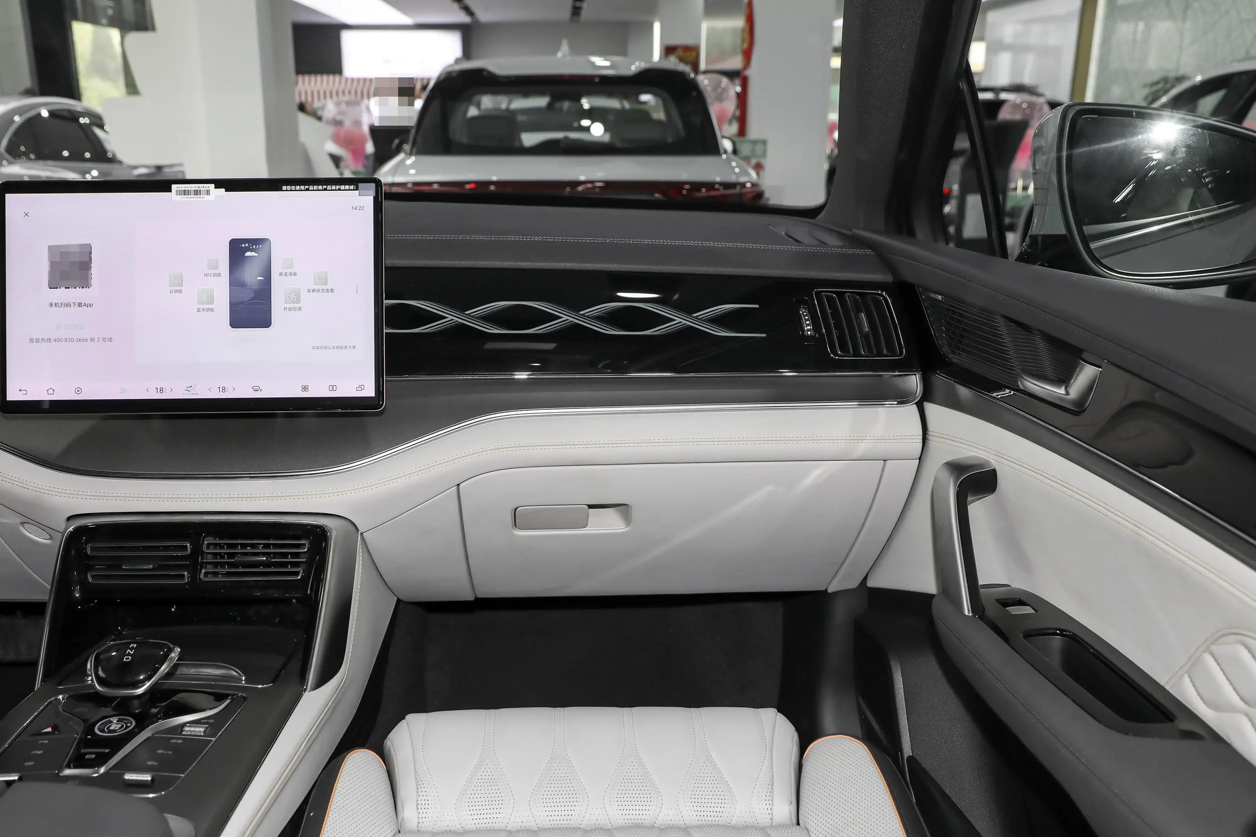 BYD Tang EV picture-5