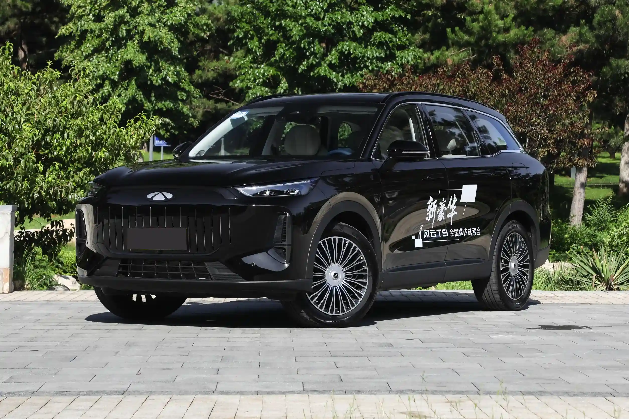 Chery Fulwin T9 picture (7)