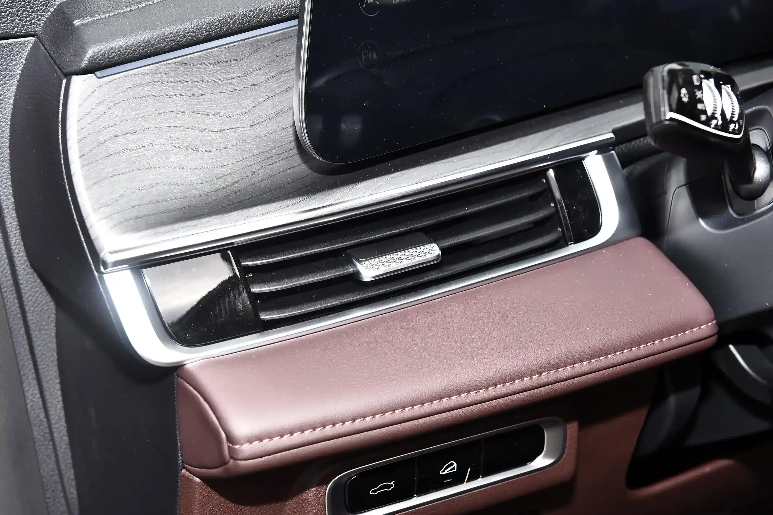 Chery Tiggo 8 PLUS picture (1)