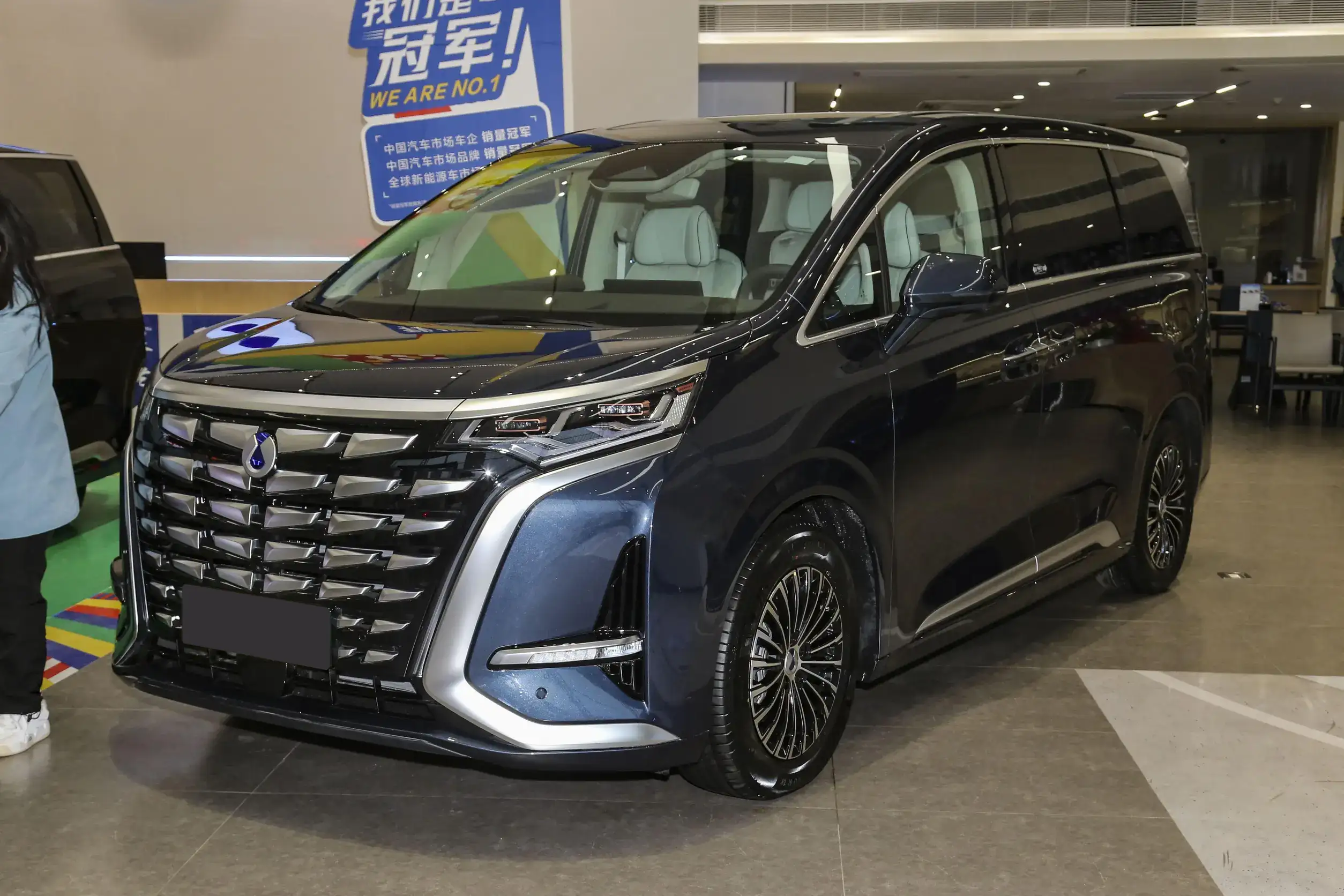 Denza D9 DM-i picture (11)