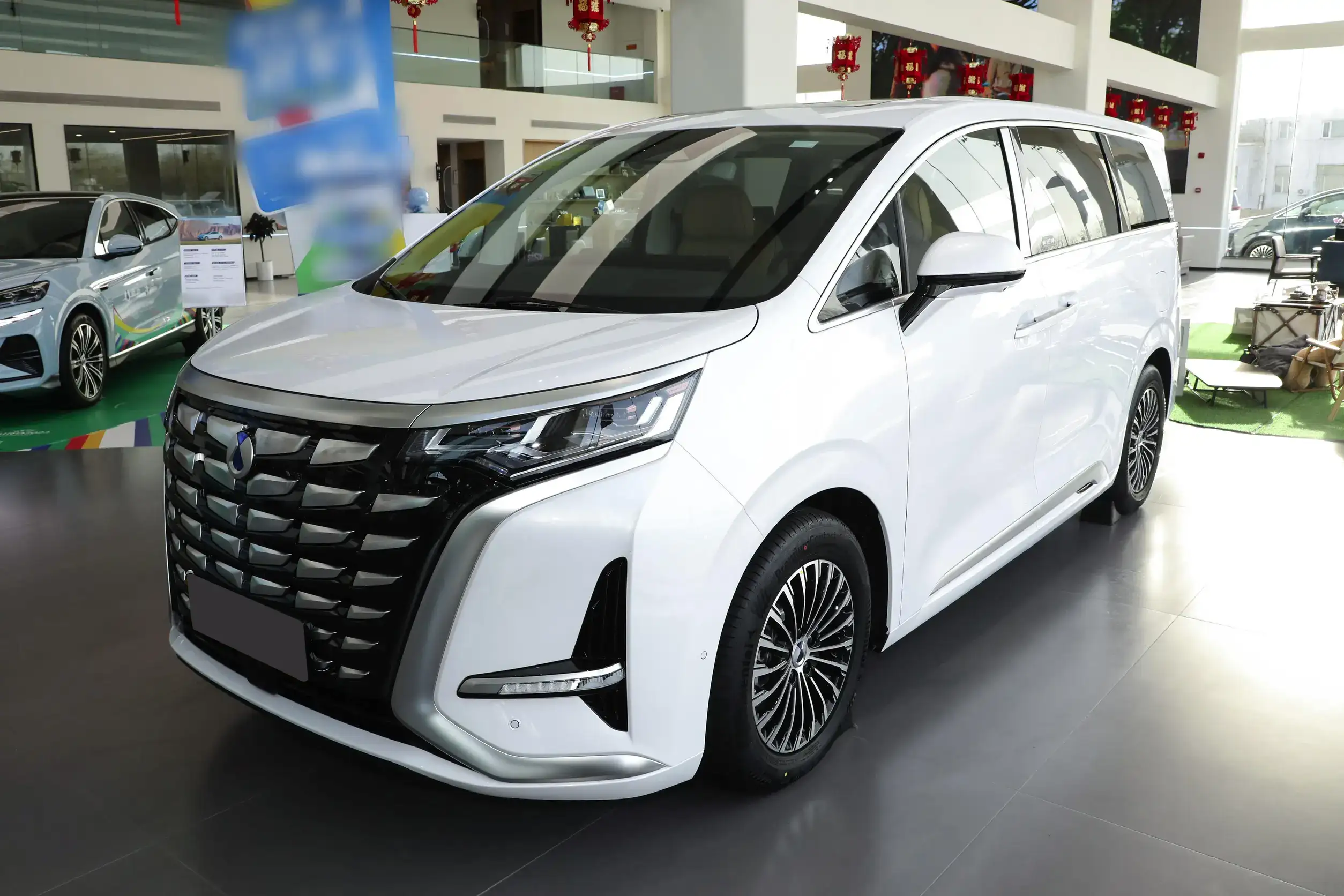 Denza D9 DM-i picture (12)