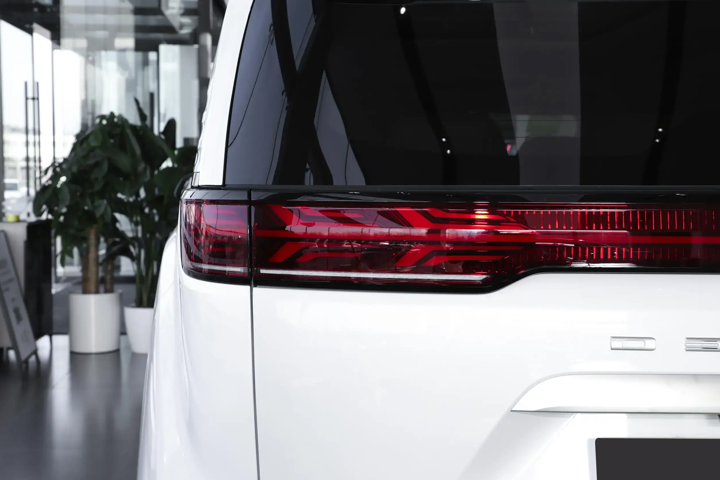 Denza D9 DM-i picture (14)