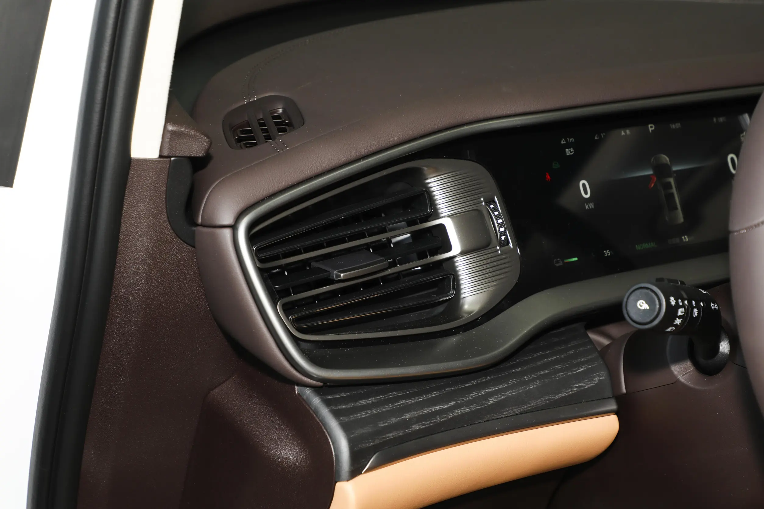 Denza D9 DM-i picture (4)