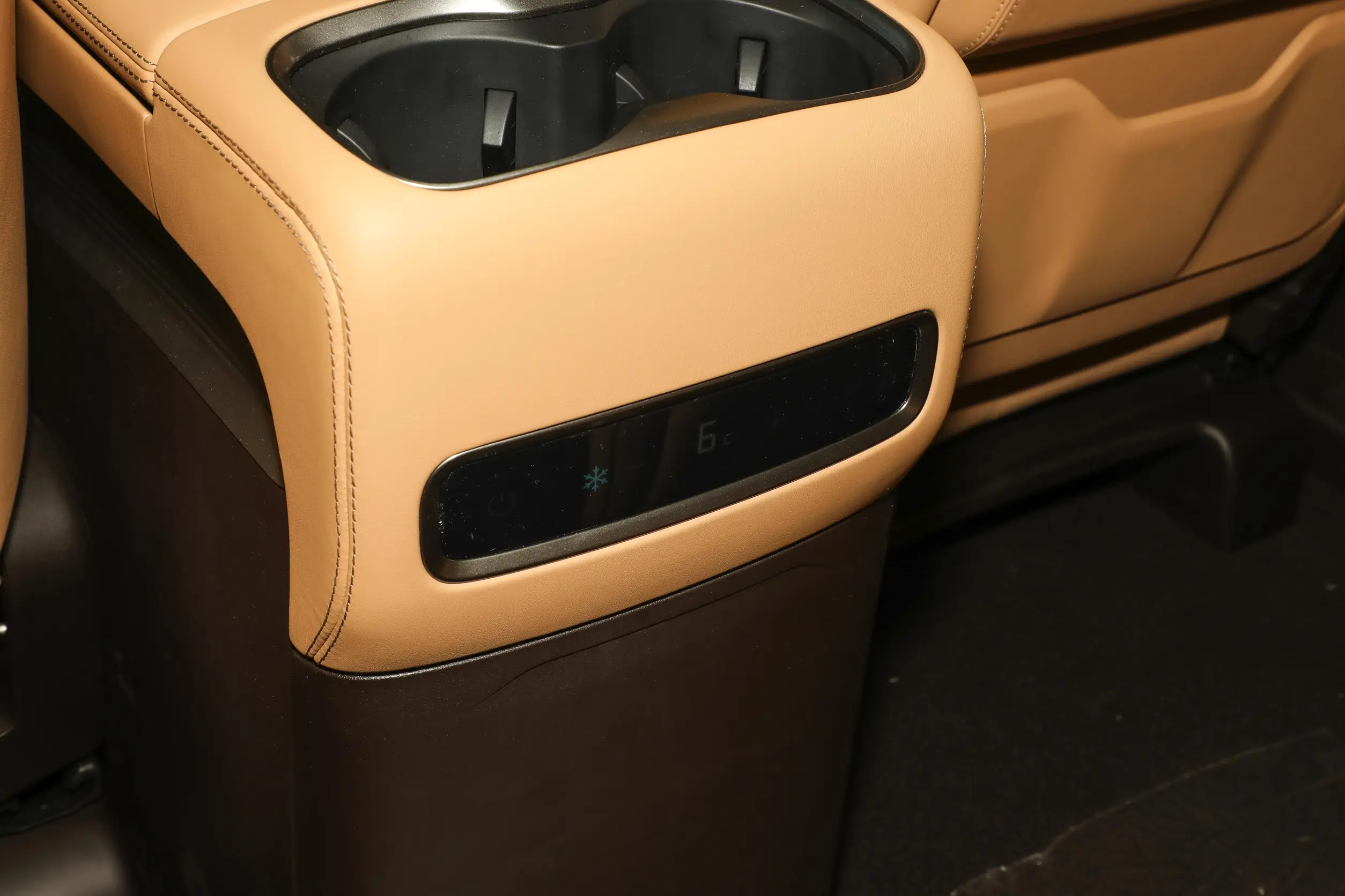 Denza D9 DM-i picture (9)