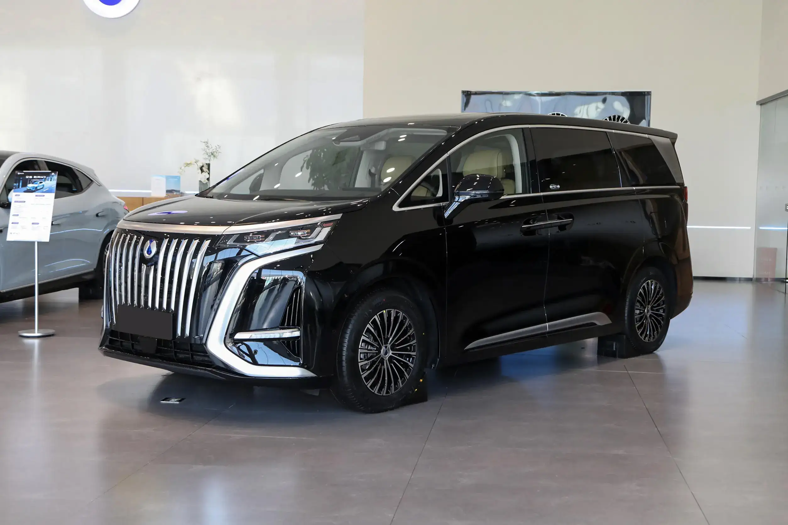 Denza D9 EV picture (11)